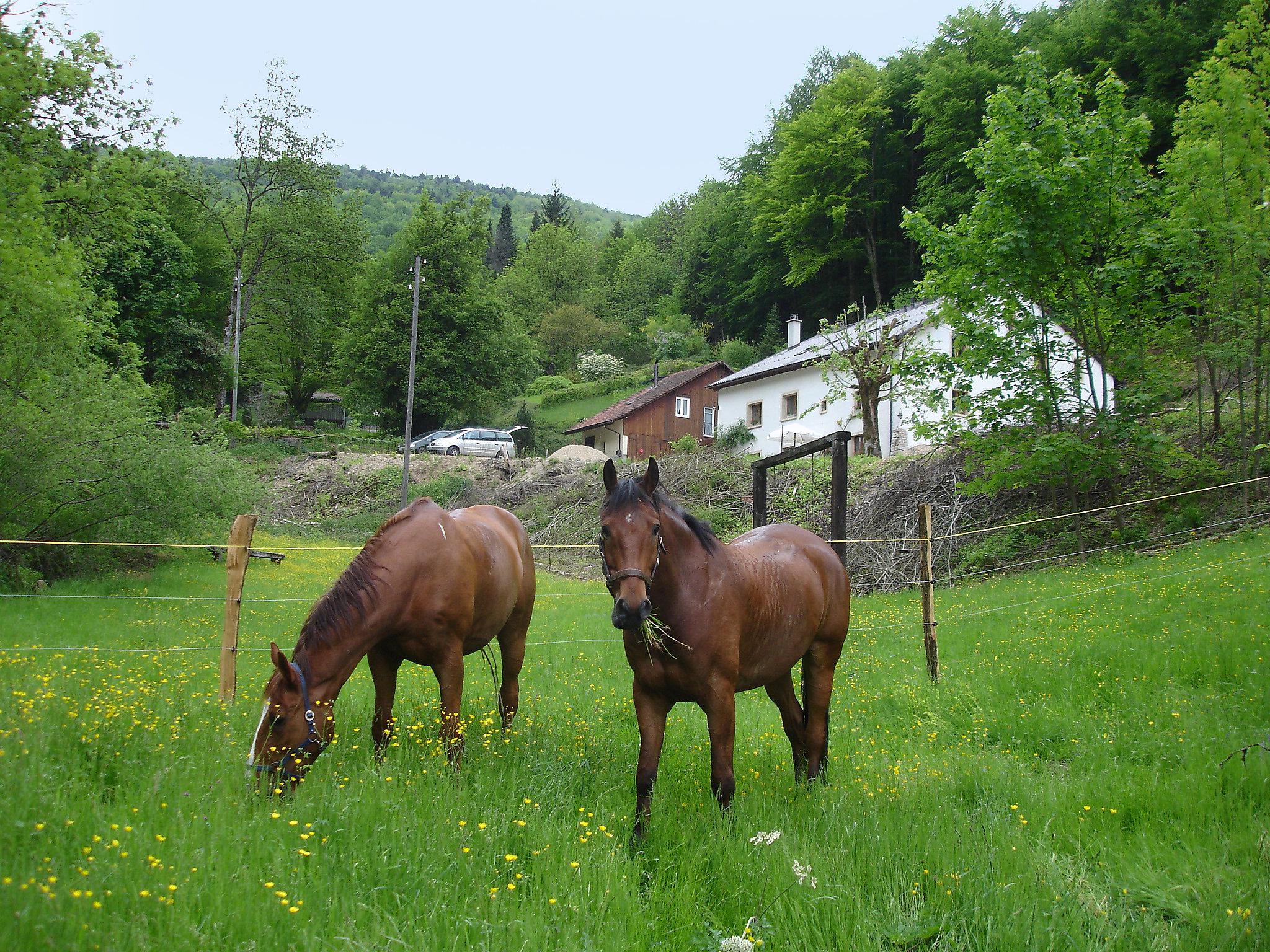 Photo 13 - Appartement en Clos du Doubs avec jardin