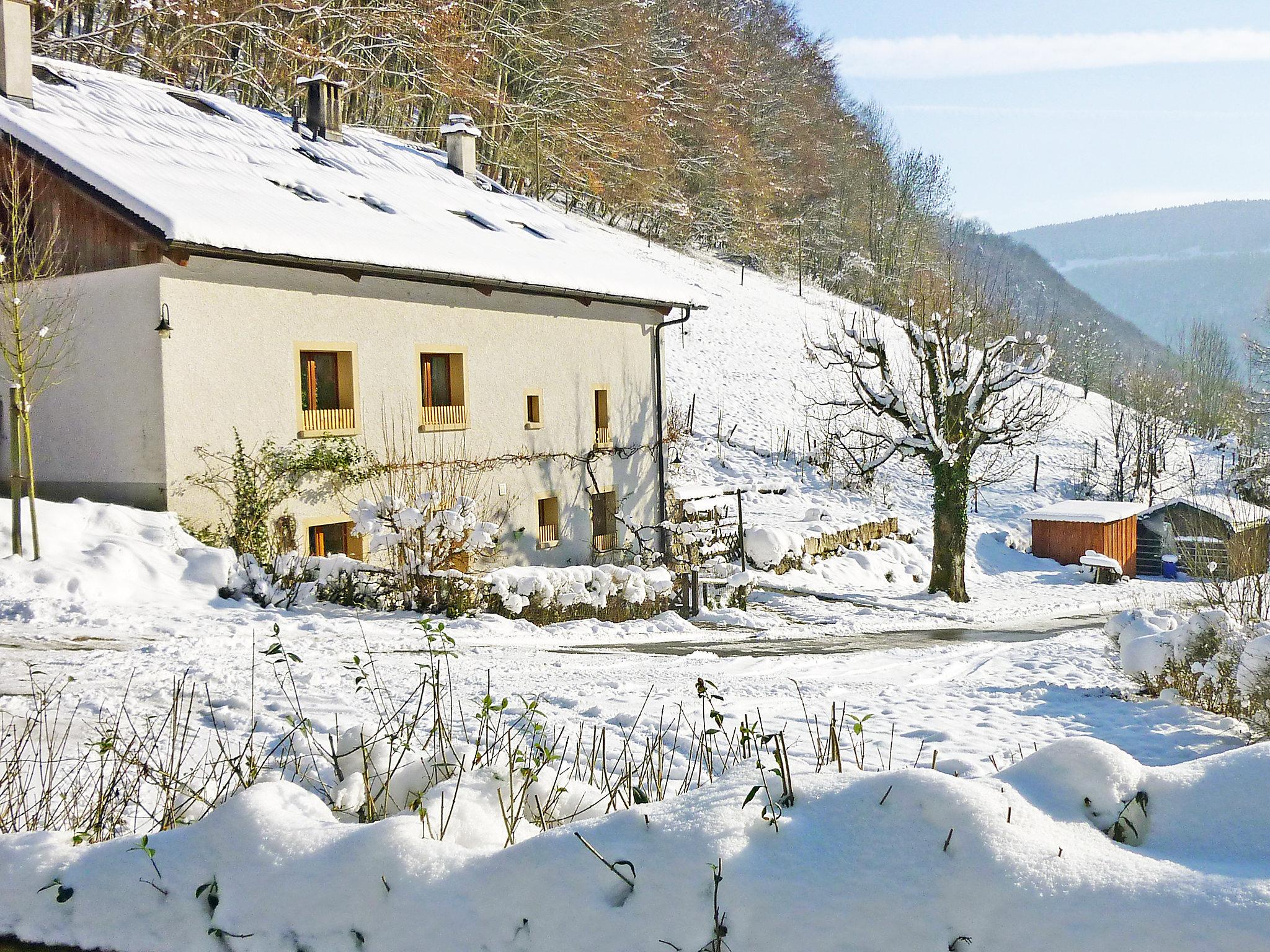 Foto 20 - Appartamento con 4 camere da letto a Clos du Doubs con giardino