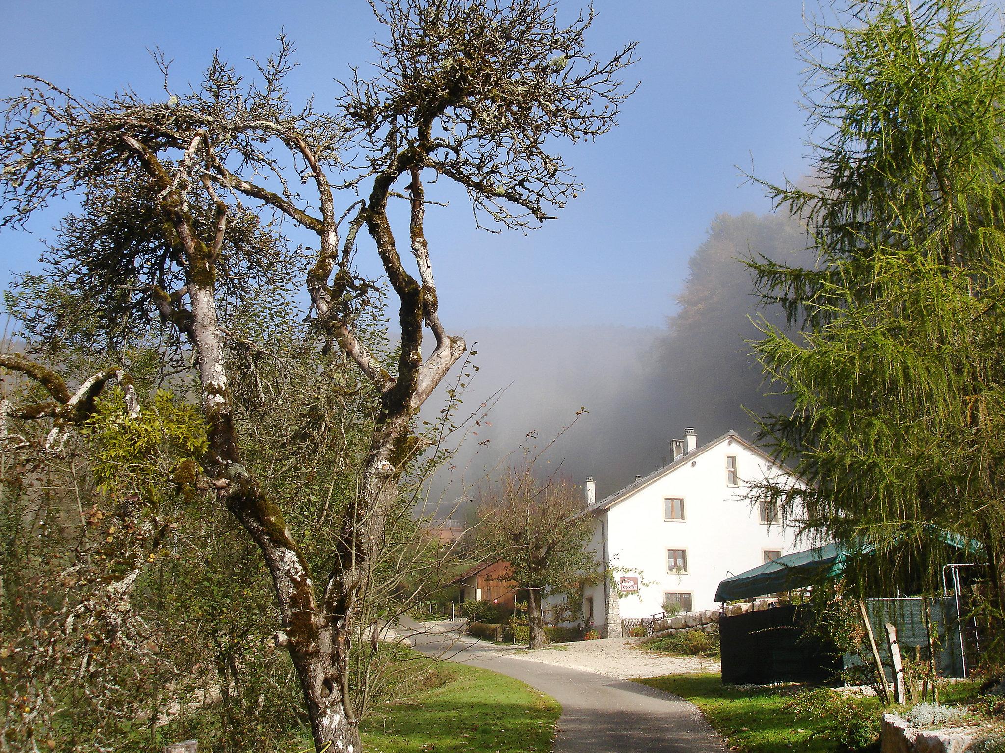 Foto 11 - Apartamento en Clos du Doubs con jardín