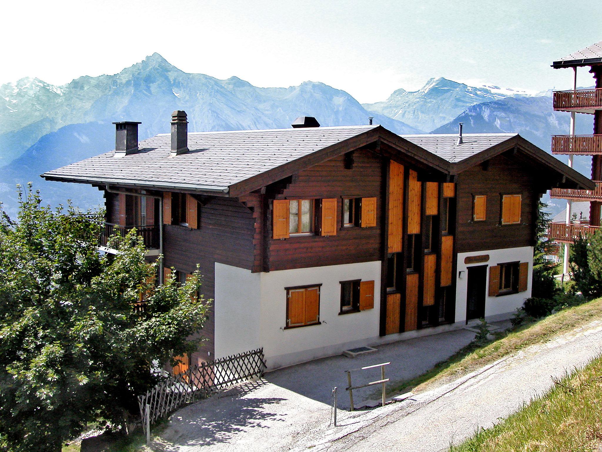 Foto 6 - Apartamento de 3 habitaciones en Nendaz con vistas a la montaña