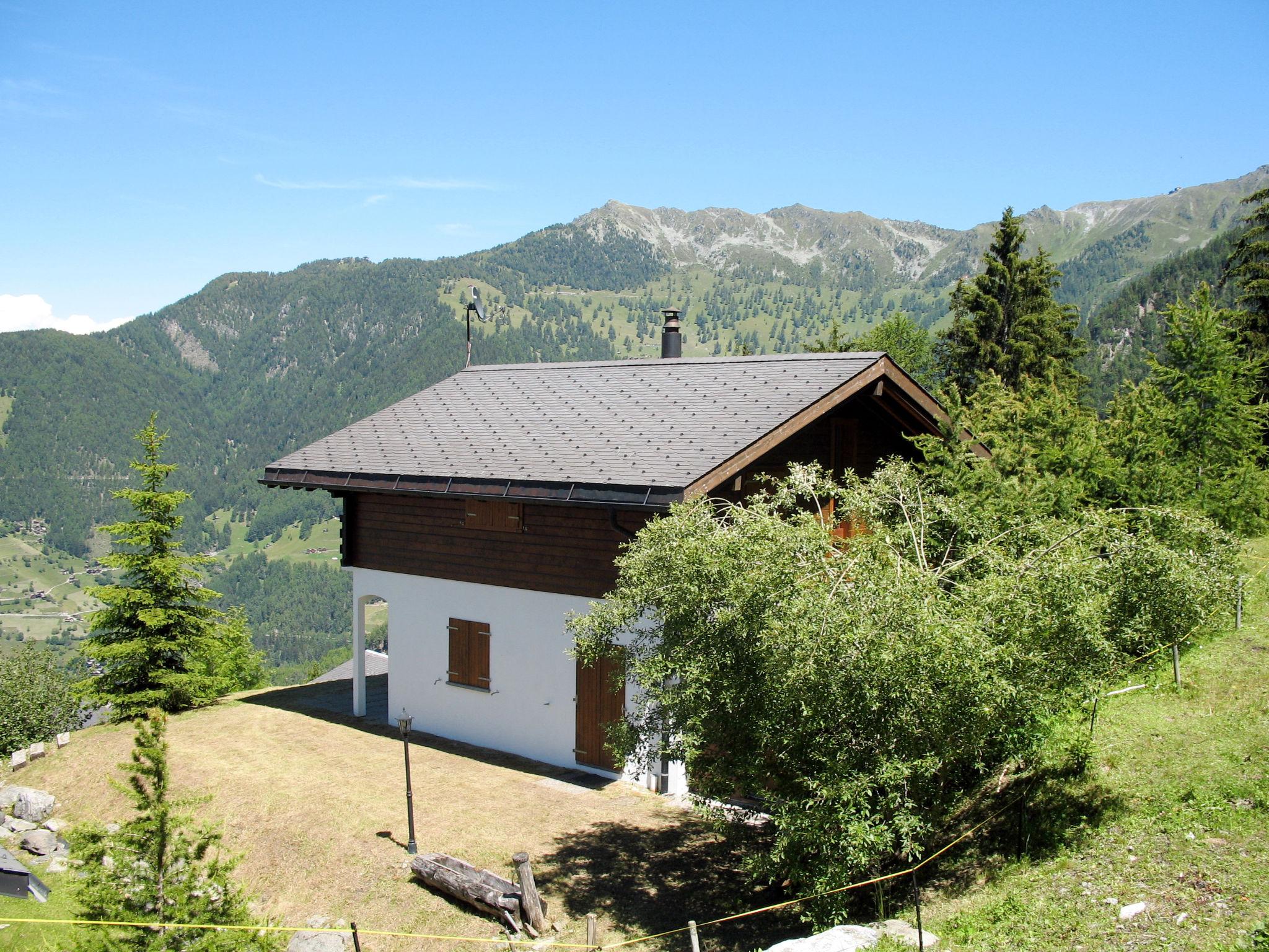 Photo 20 - Maison de 4 chambres à Riddes avec jardin et terrasse