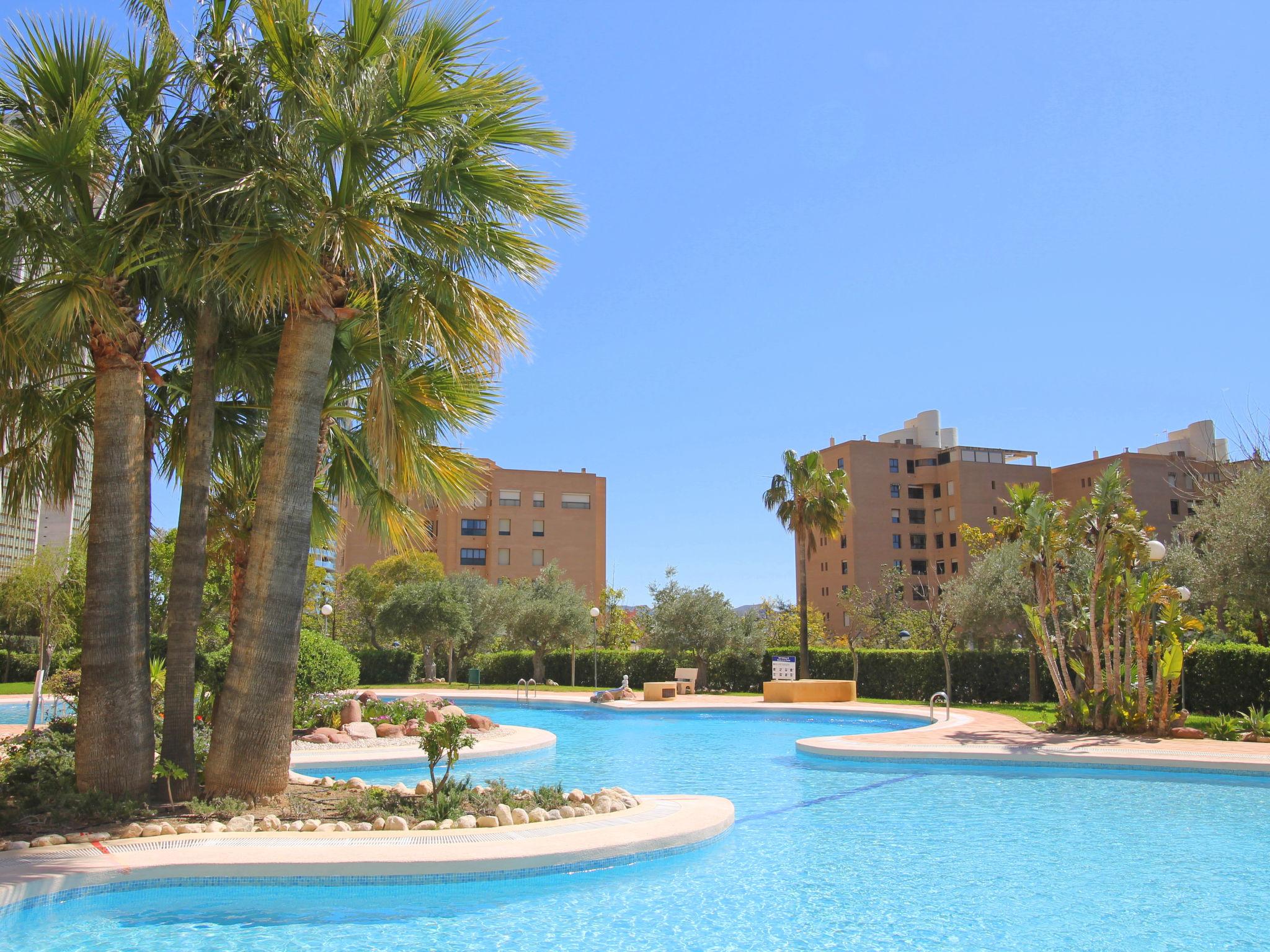 Photo 24 - Appartement de 1 chambre à Benidorm avec piscine et jardin