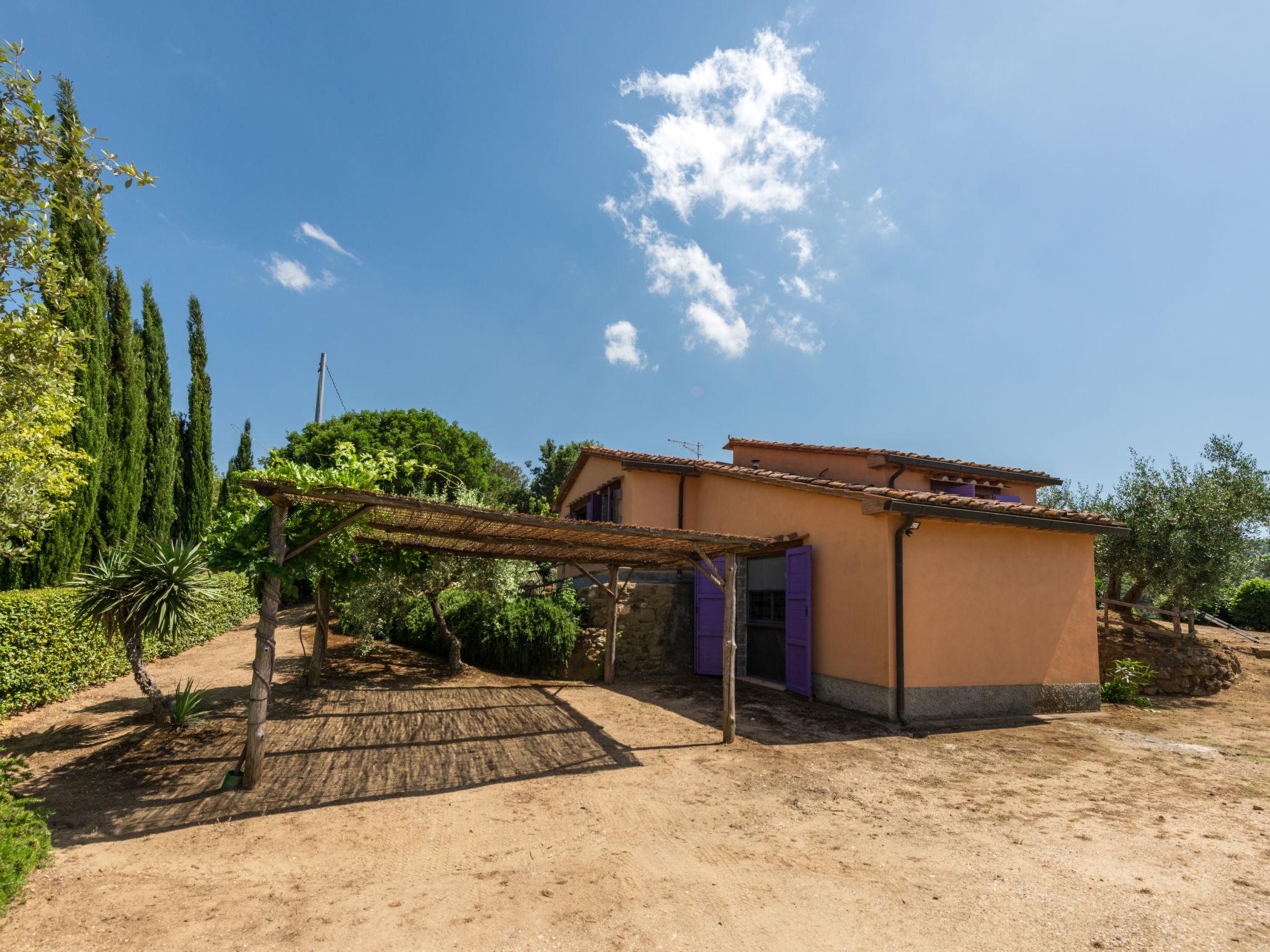 Foto 25 - Casa con 2 camere da letto a Scansano con piscina privata e vista mare