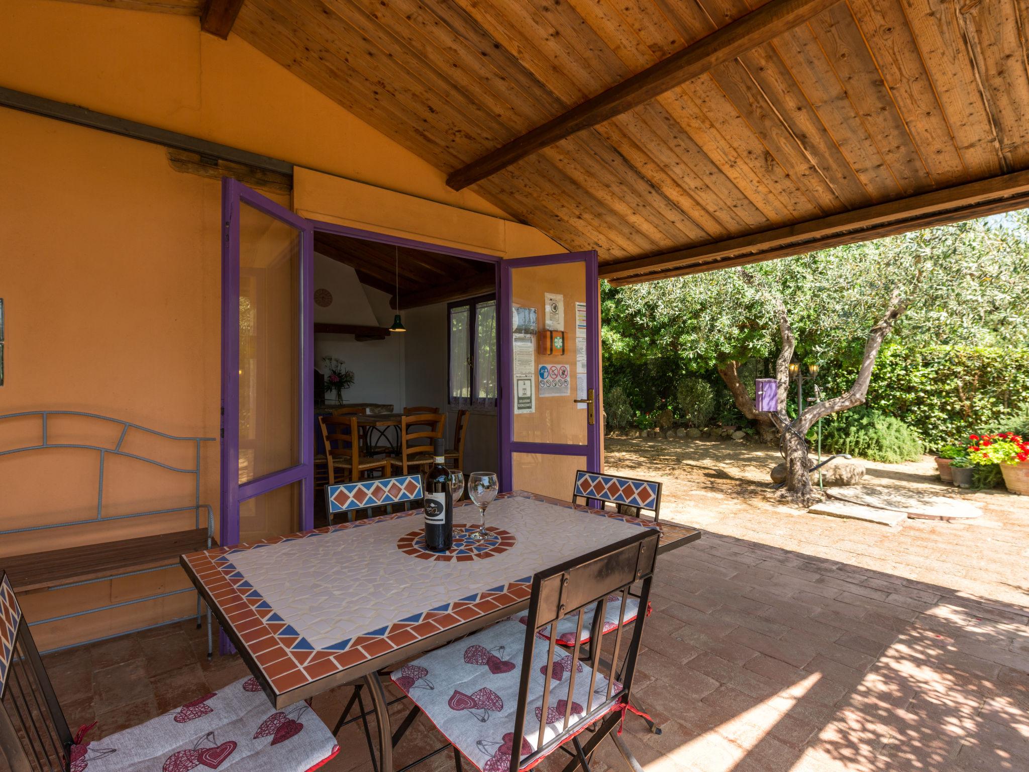 Photo 21 - Maison de 2 chambres à Scansano avec piscine privée et jardin