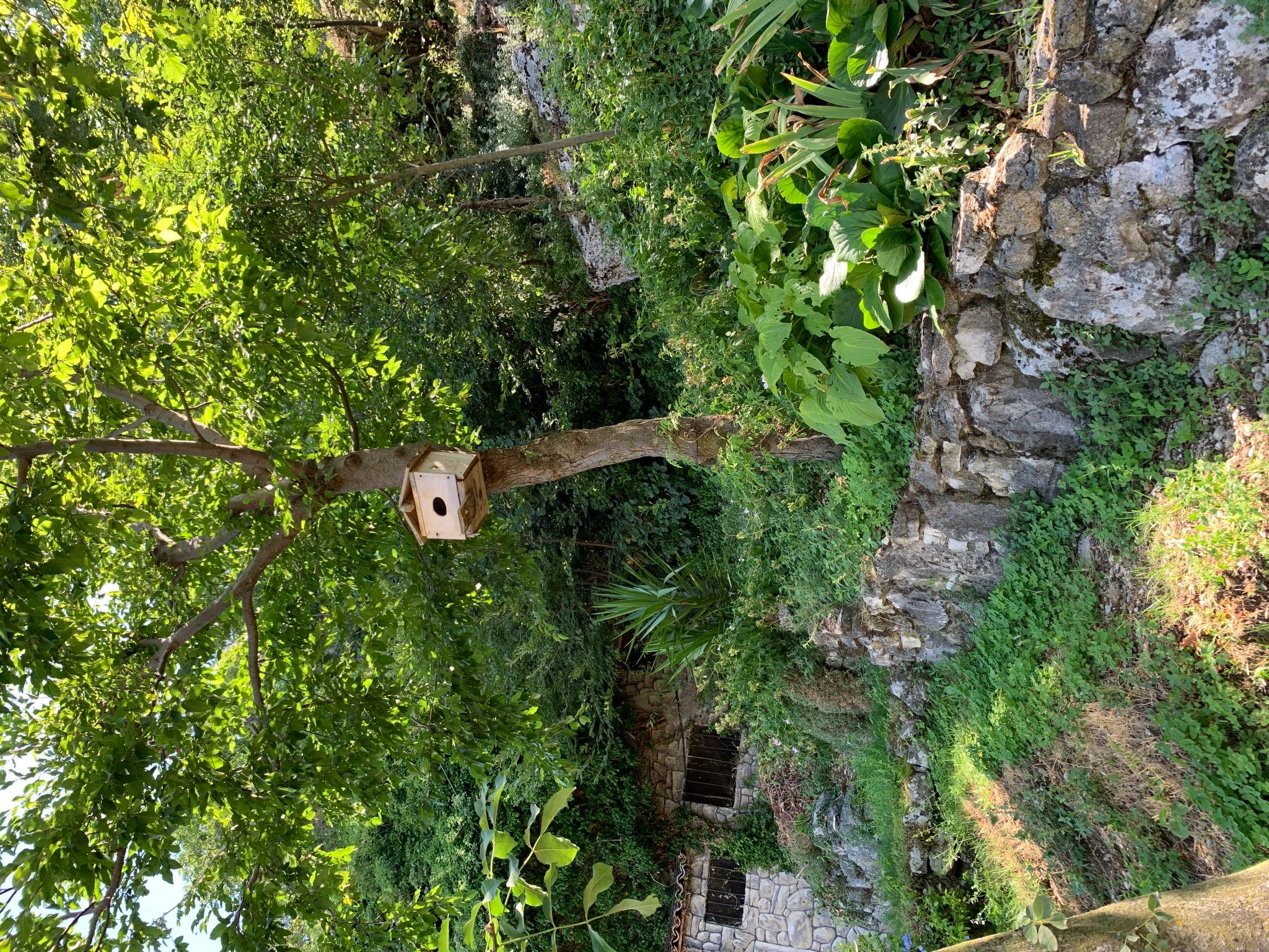 Foto 29 - Appartamento con 2 camere da letto a Malcesine con giardino