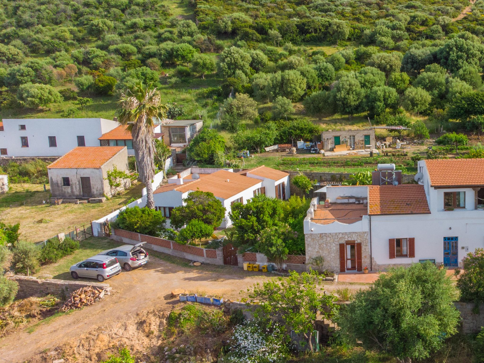 Photo 3 - Maison de 3 chambres à Santa Maria Coghinas avec jardin et vues à la mer