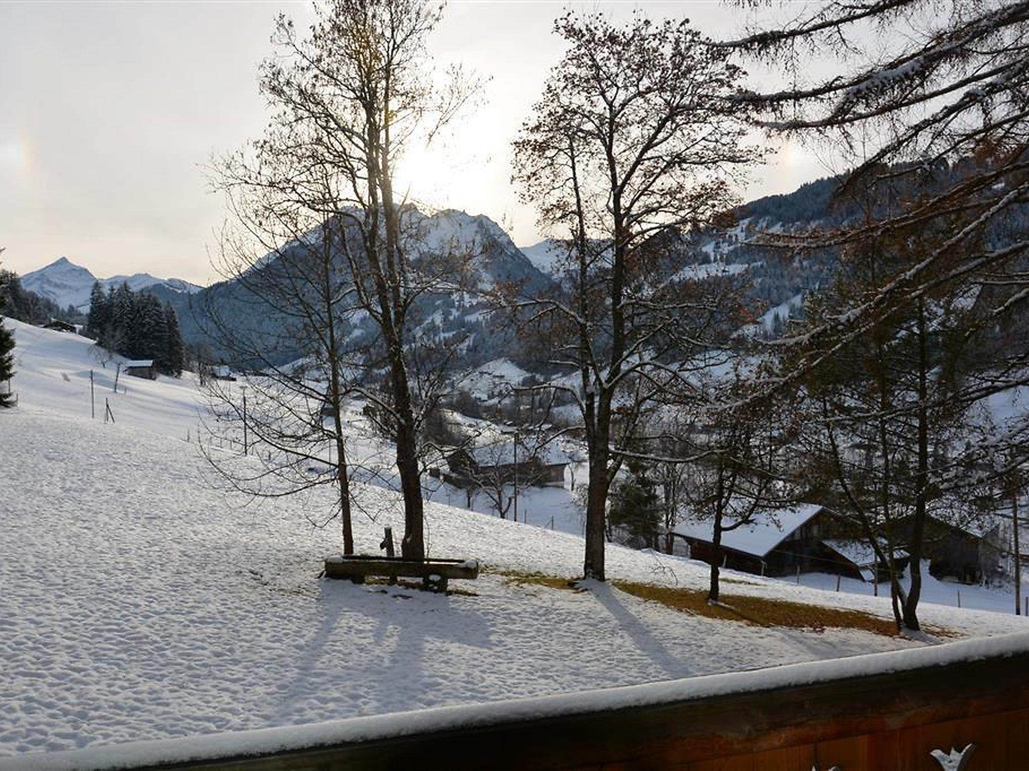 Photo 7 - 4 bedroom Apartment in Saanen