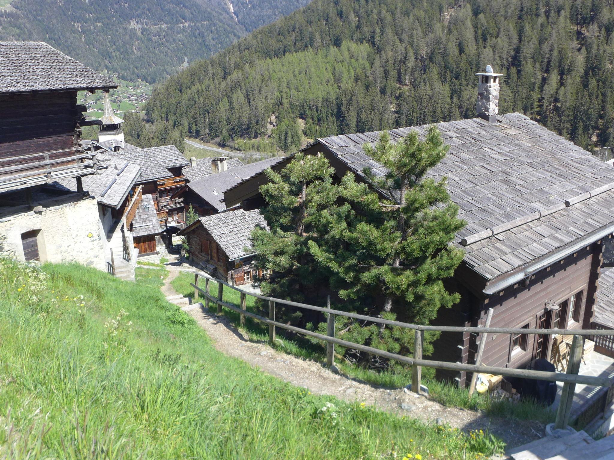 Foto 29 - Haus mit 3 Schlafzimmern in Anniviers mit terrasse und blick auf die berge