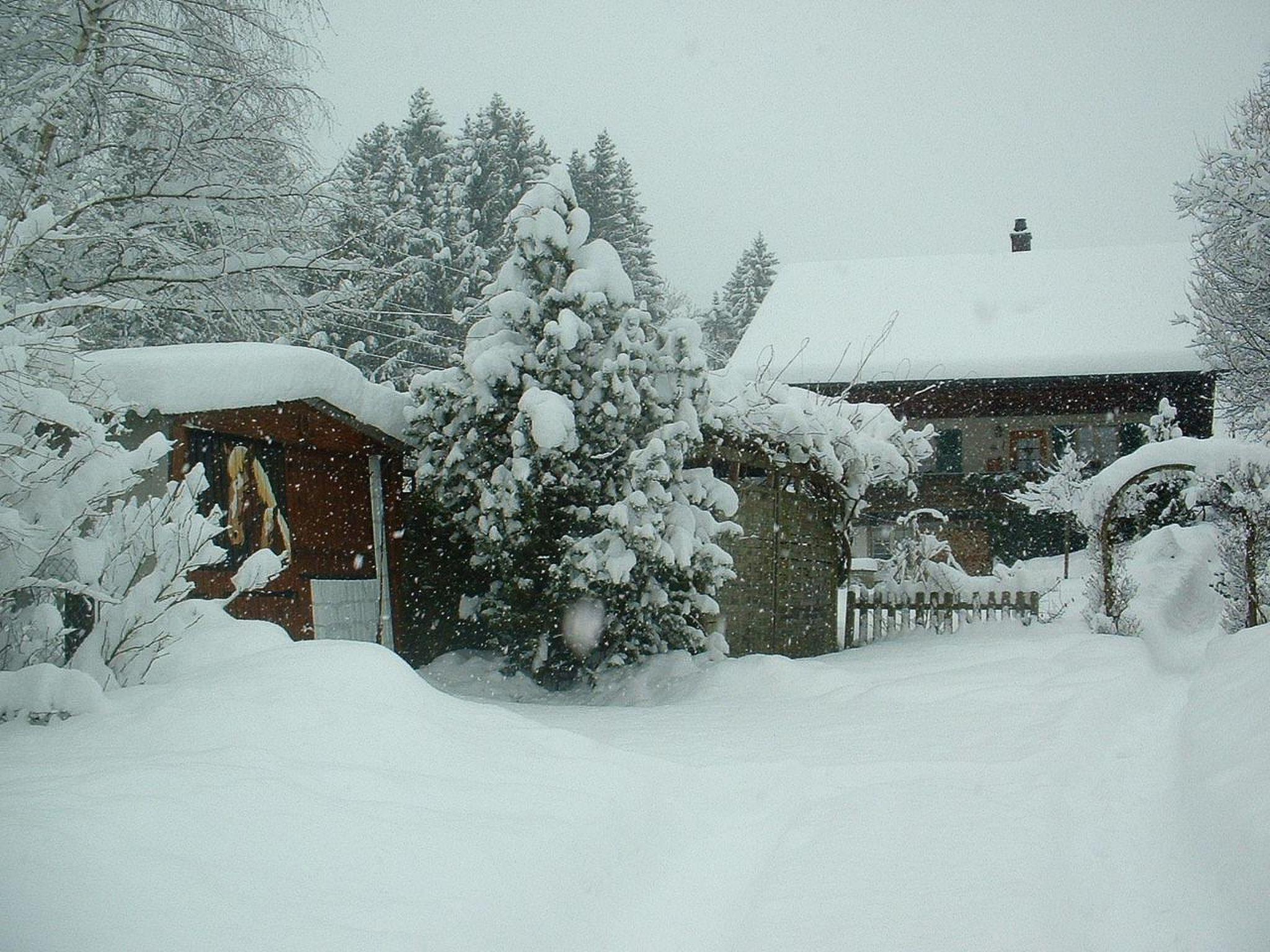 Photo 10 - Appartement de 1 chambre à Oberwil im Simmental