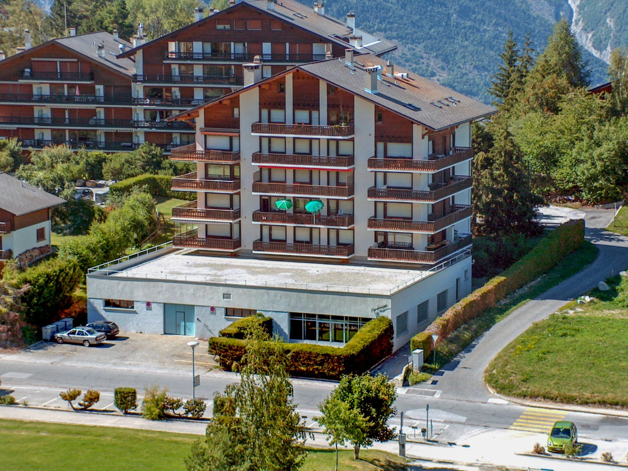 Photo 1 - Appartement de 2 chambres à Nendaz avec vues sur la montagne