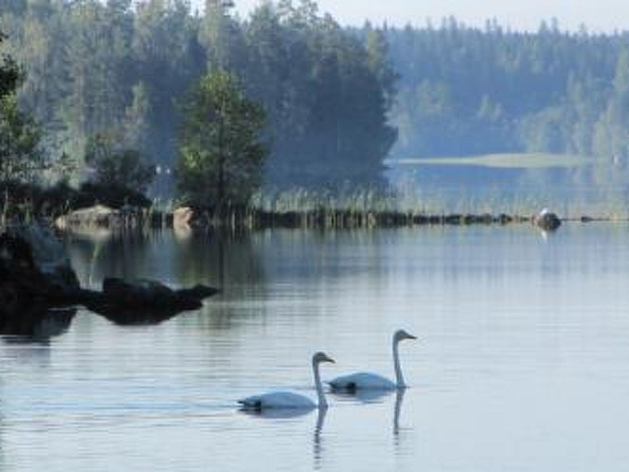 Foto 7 - Haus mit 3 Schlafzimmern in Padasjoki mit sauna