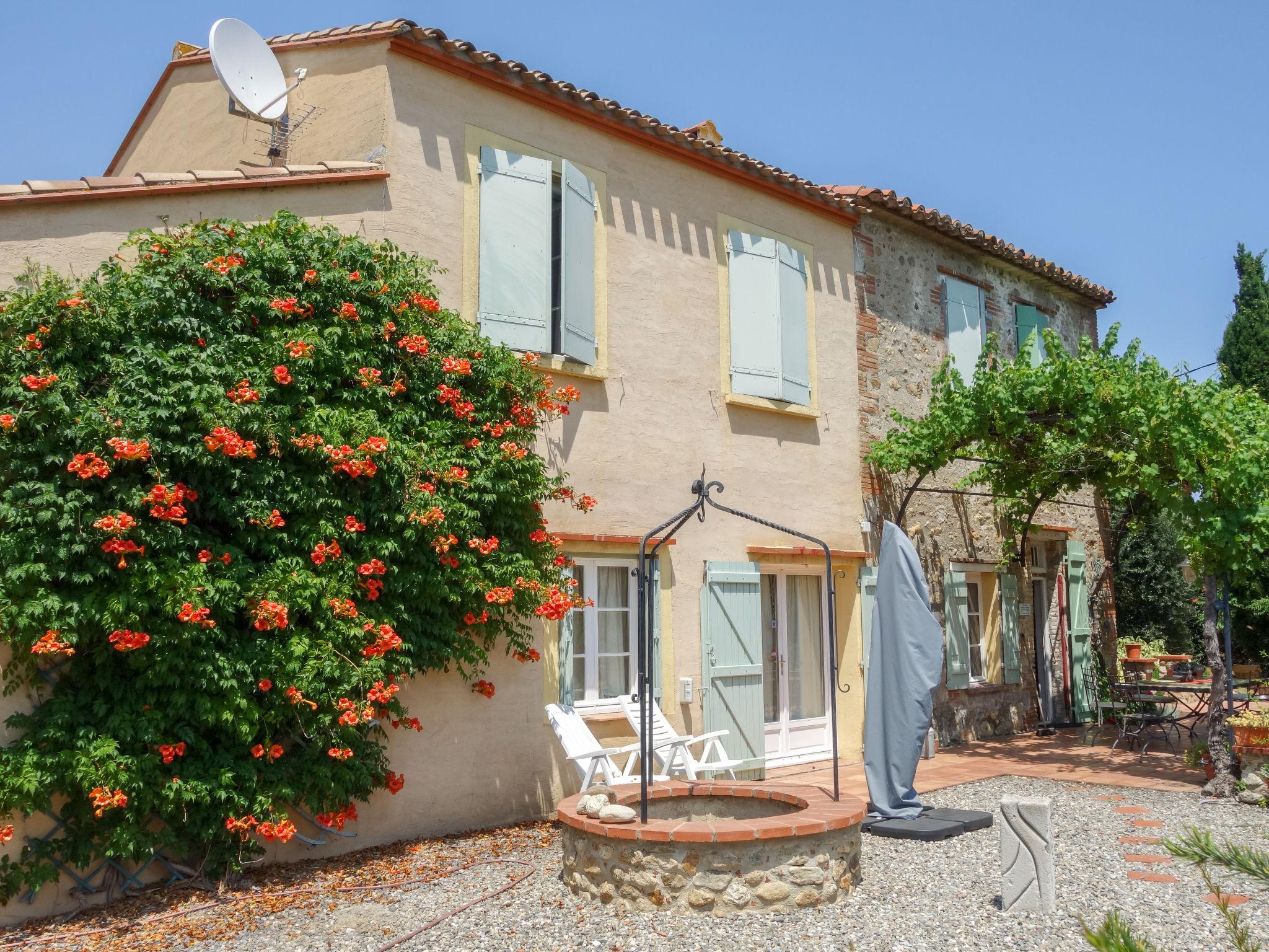 Foto 21 - Casa de 4 habitaciones en Laroque-des-Albères con piscina privada y vistas al mar