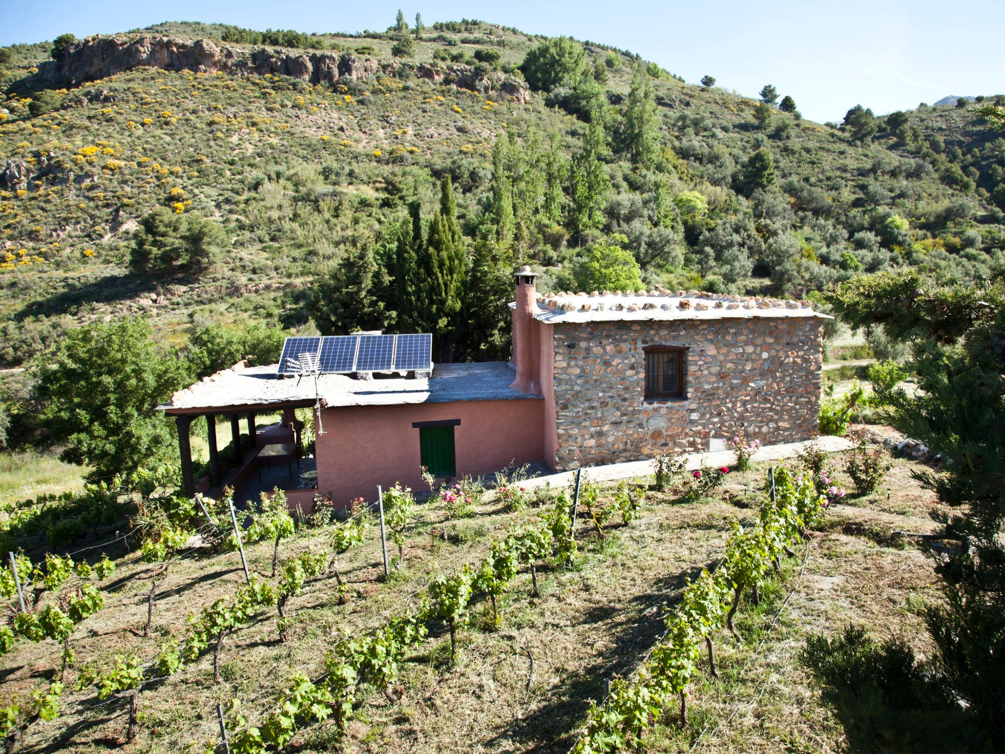 Foto 29 - Casa con 2 camere da letto a Órgiva con piscina privata e giardino