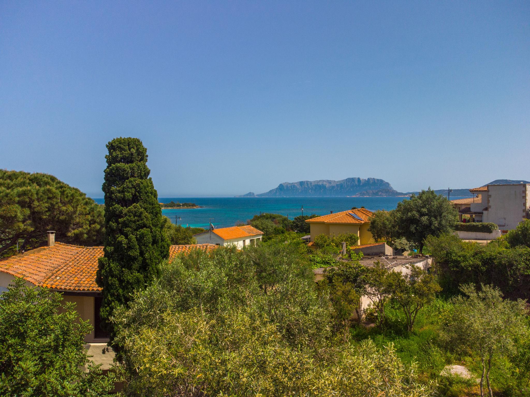 Foto 26 - Casa con 3 camere da letto a Olbia con giardino e vista mare