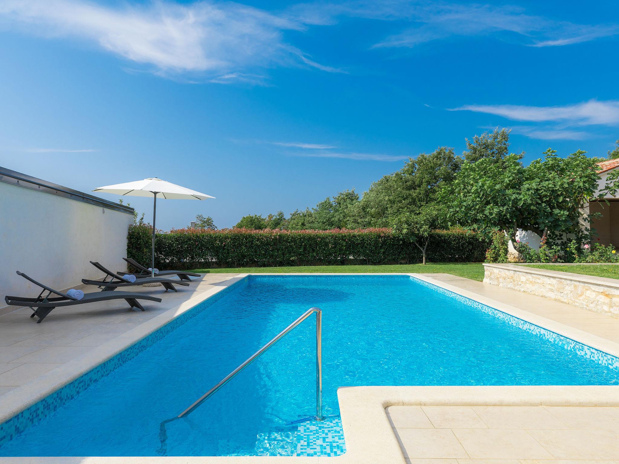 Photo 39 - Maison de 3 chambres à Žminj avec piscine privée et jardin