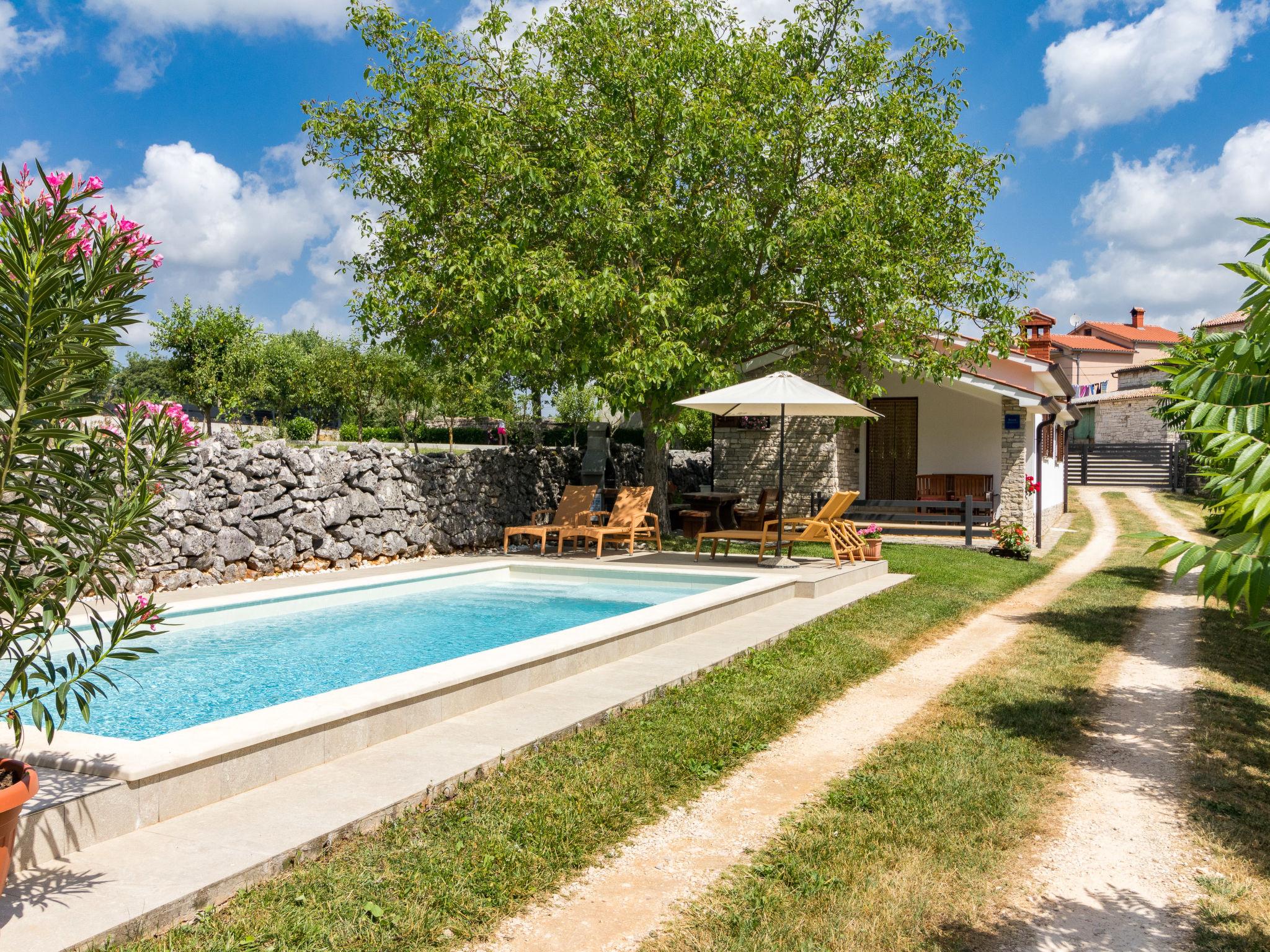 Foto 19 - Casa de 2 quartos em Pazin com piscina privada e jardim