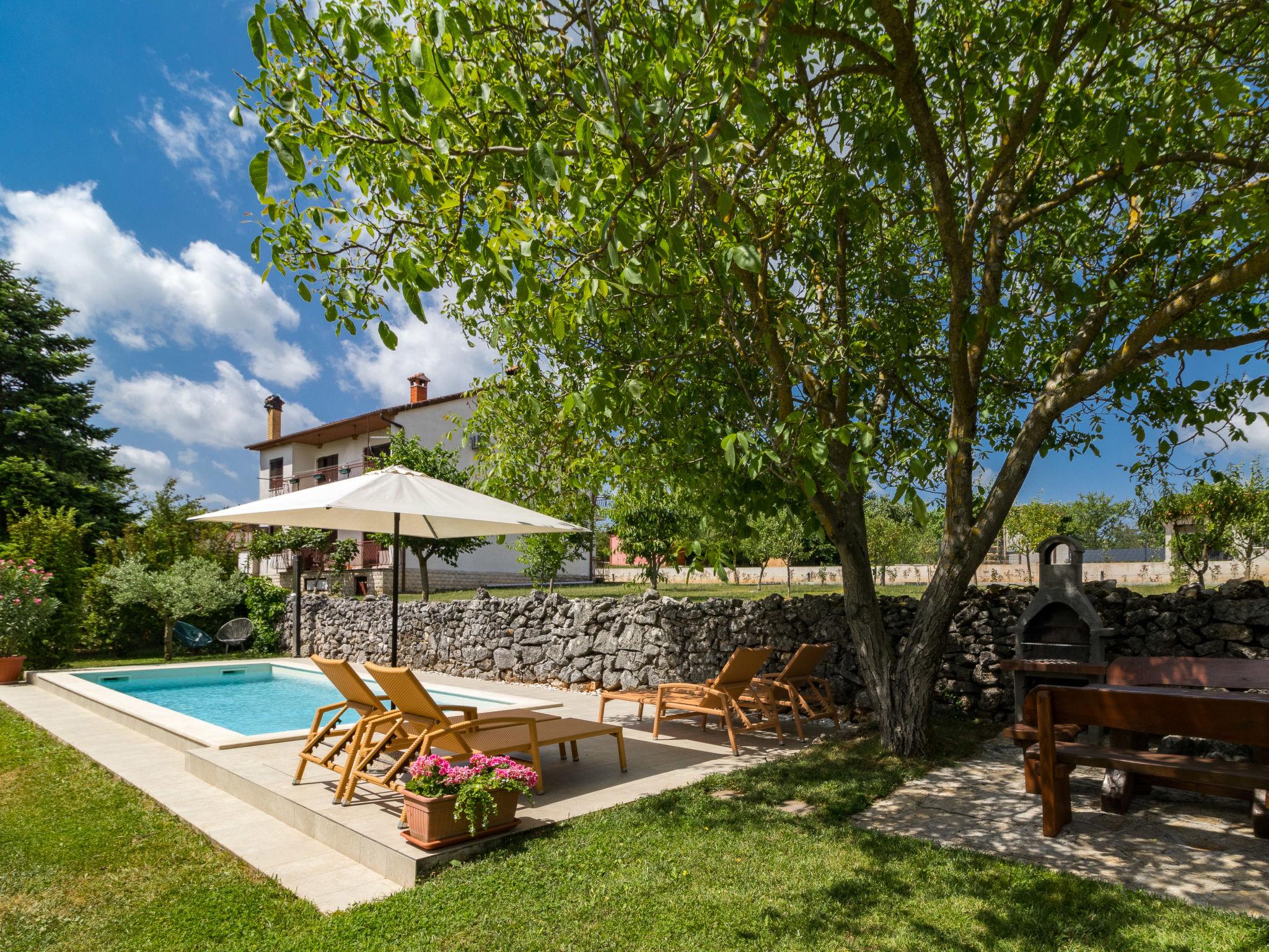 Foto 1 - Casa de 2 quartos em Pazin com piscina privada e jardim