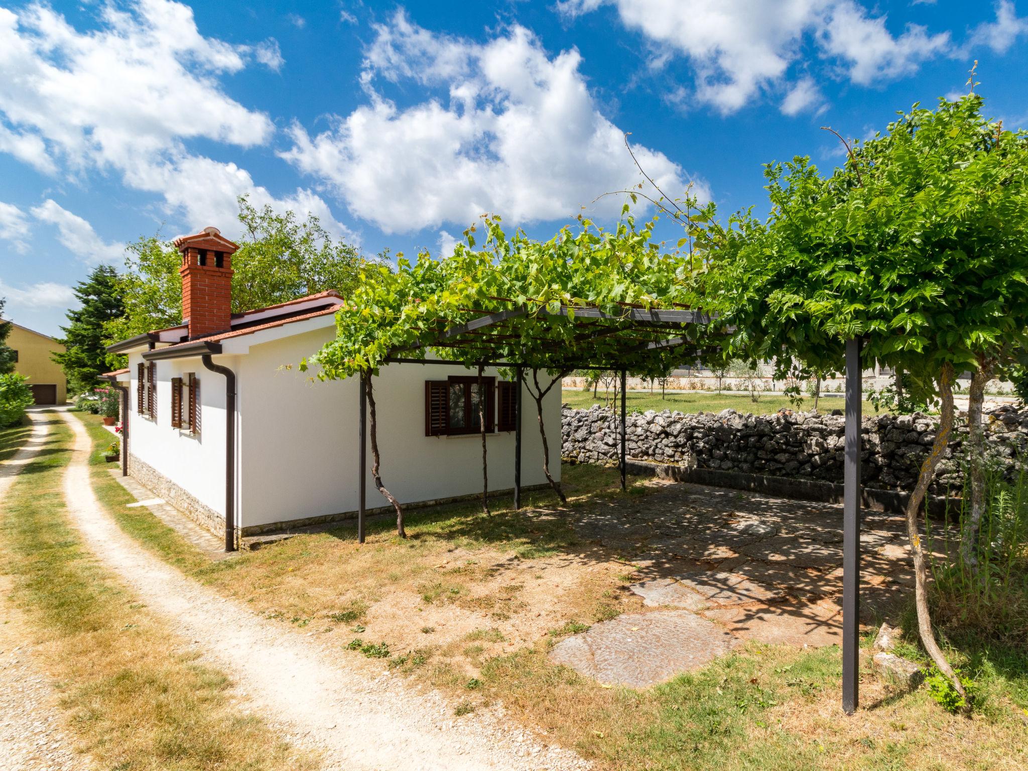 Foto 18 - Casa con 2 camere da letto a Pazin con piscina privata e giardino