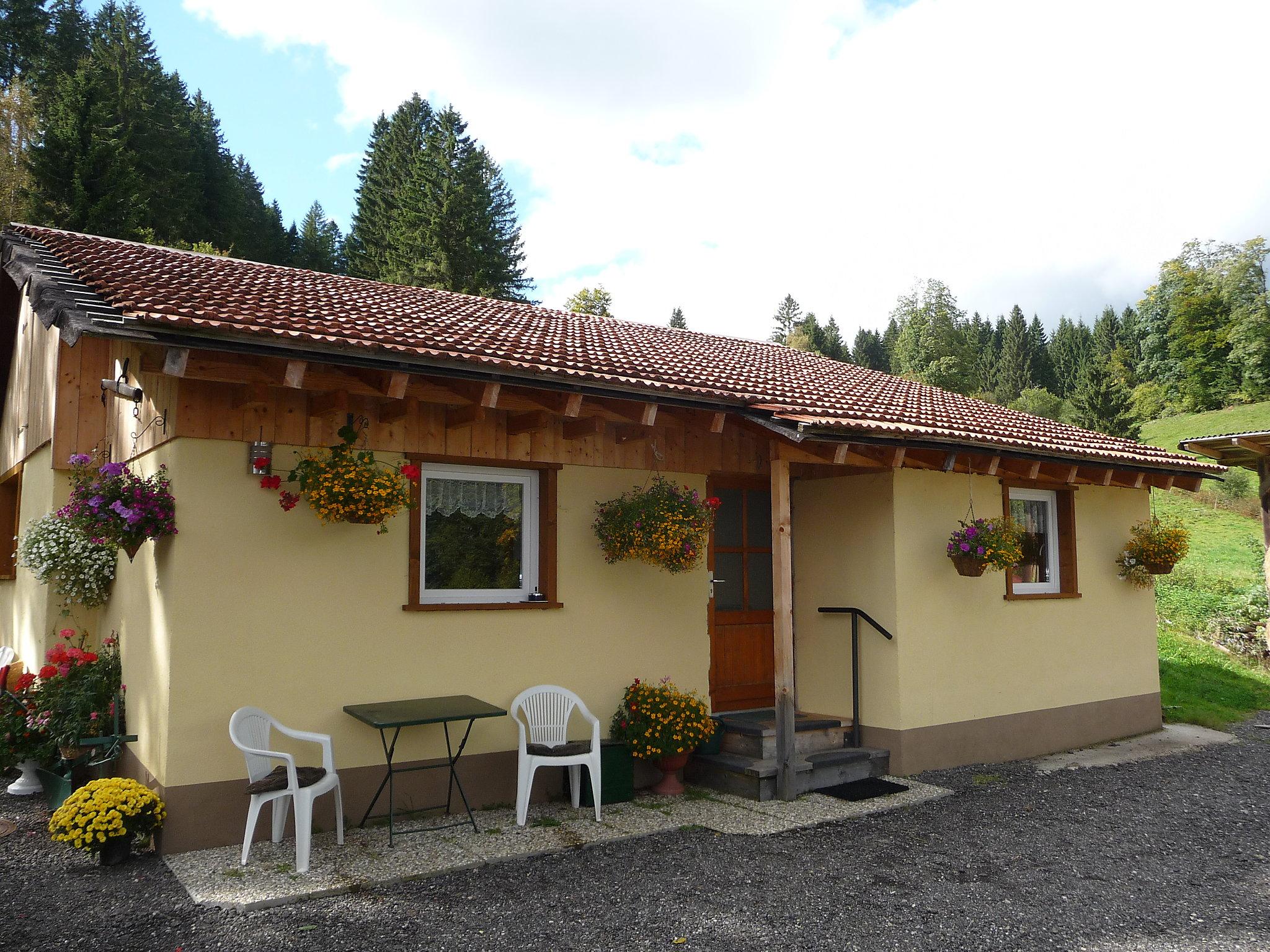 Foto 13 - Casa de 2 habitaciones en Lenzkirch con jardín y vistas a la montaña