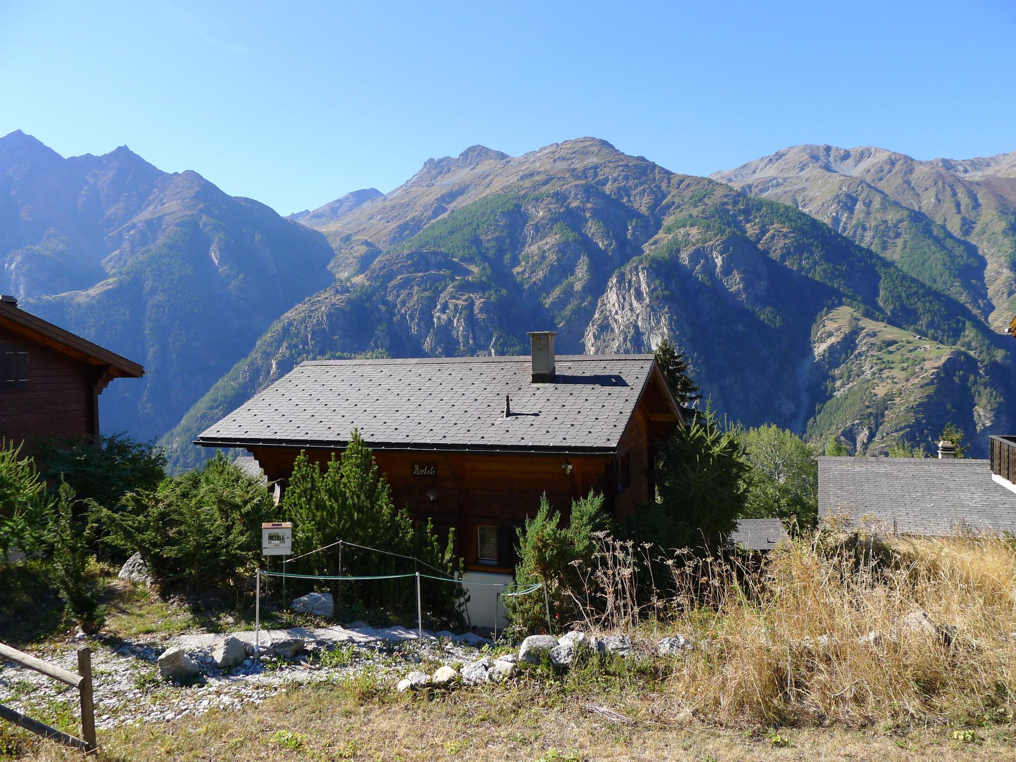 Foto 19 - Casa con 4 camere da letto a Grächen con giardino e vista sulle montagne