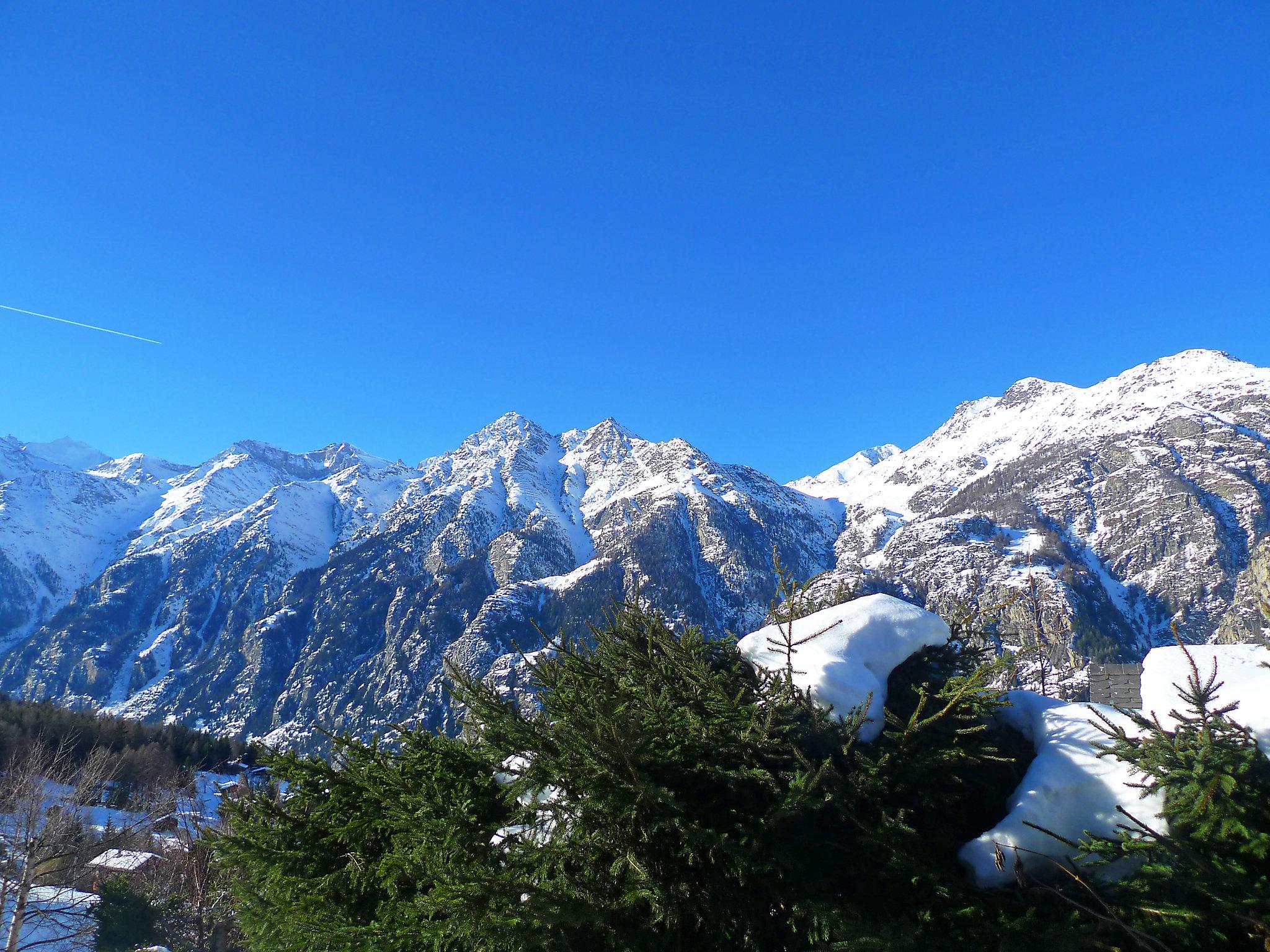 Photo 22 - Maison de 4 chambres à Grächen avec jardin et vues sur la montagne