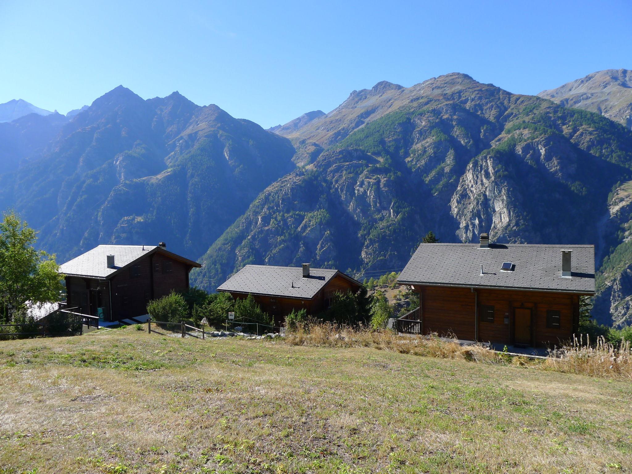 Foto 20 - Casa de 4 habitaciones en Grächen con jardín y vistas a la montaña