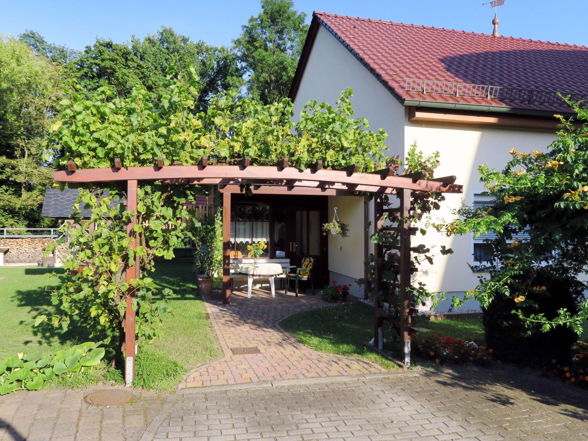 Photo 6 - Appartement de 2 chambres à Eilenburg avec jardin et terrasse