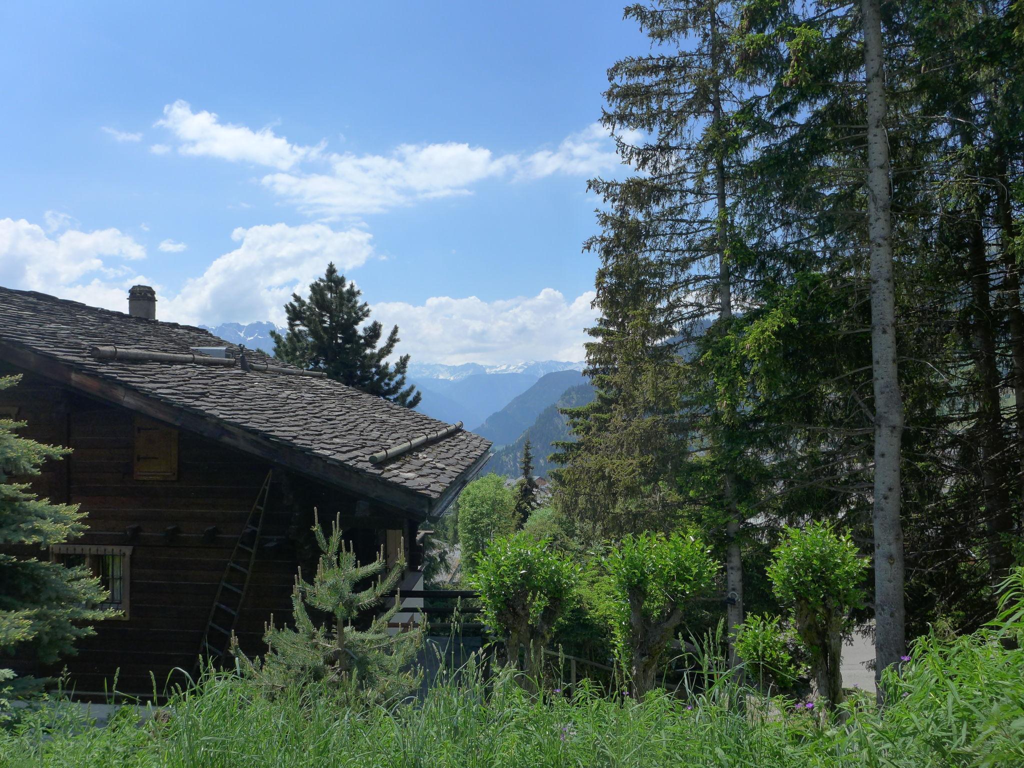 Photo 12 - Appartement de 1 chambre à Val de Bagnes avec terrasse et vues sur la montagne