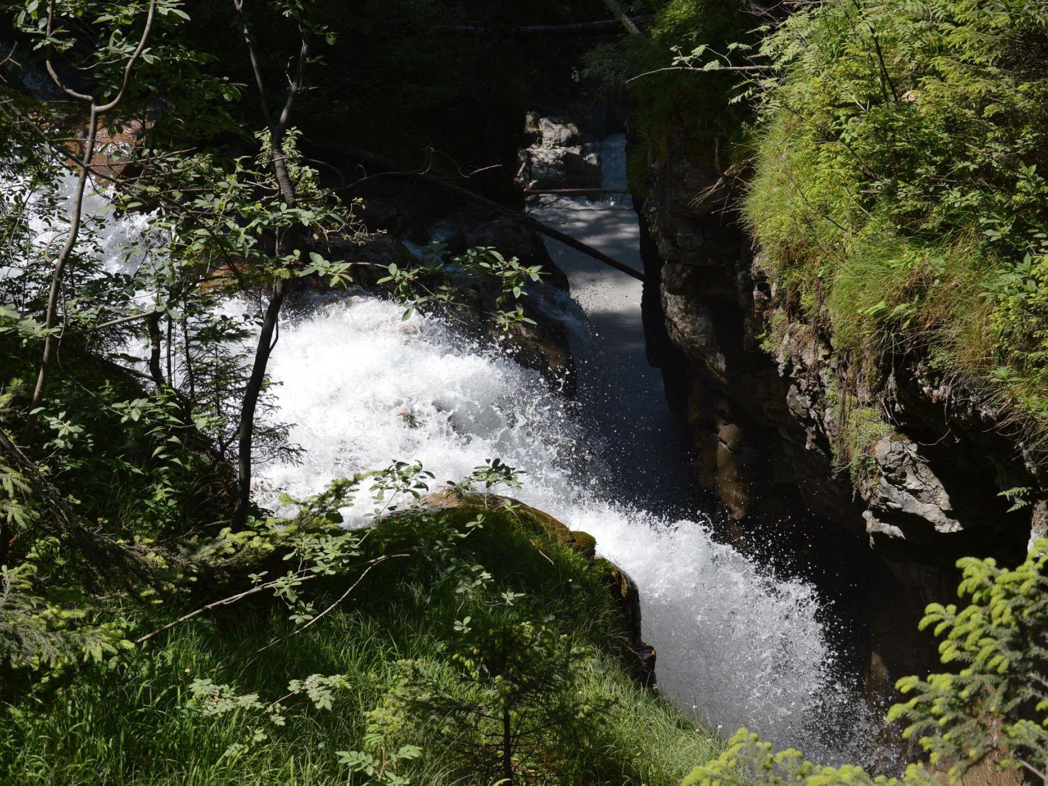 Foto 13 - Appartamento con 1 camera da letto a Reichenbach im Kandertal