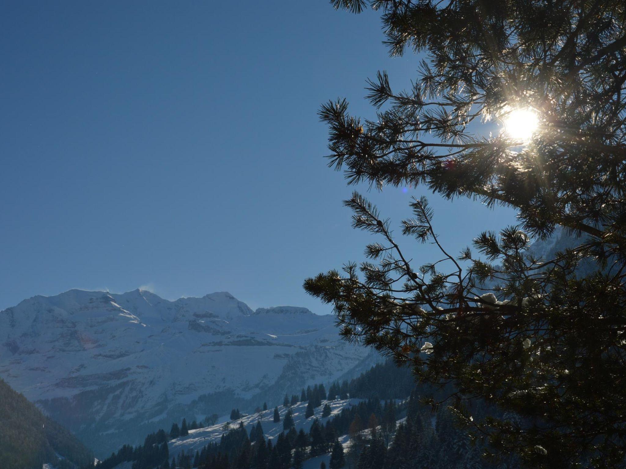 Foto 15 - Appartamento con 1 camera da letto a Reichenbach im Kandertal