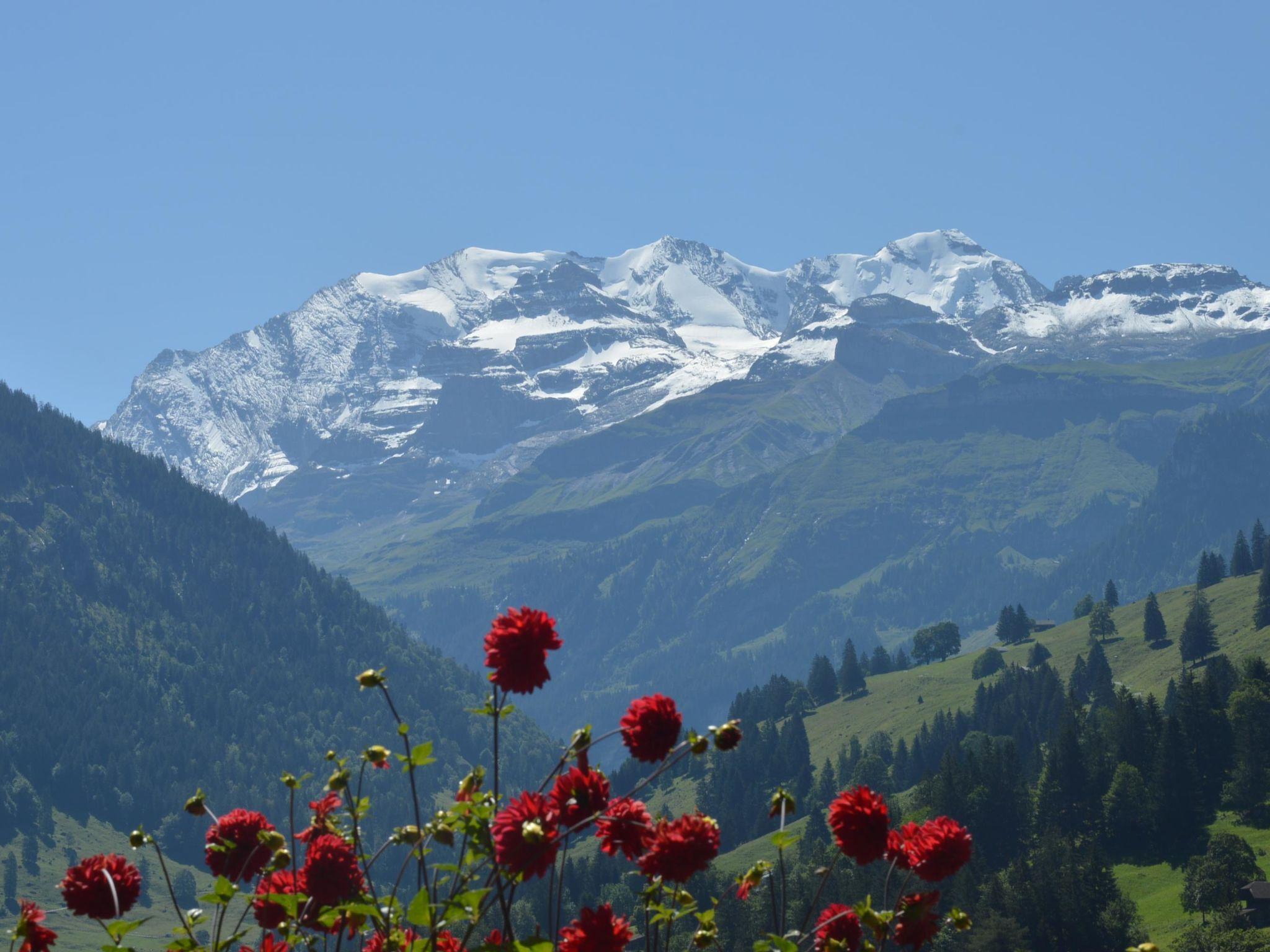 Foto 9 - Appartamento con 1 camera da letto a Reichenbach im Kandertal