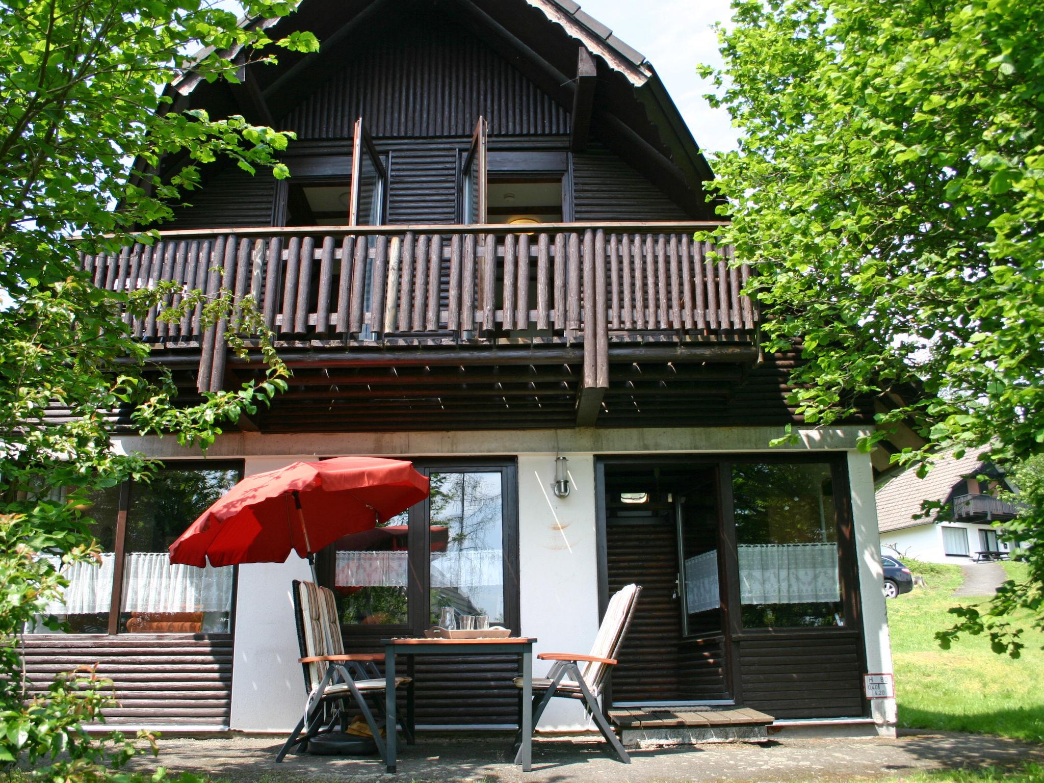Photo 1 - Maison de 2 chambres à Frankenau avec jardin et vues sur la montagne