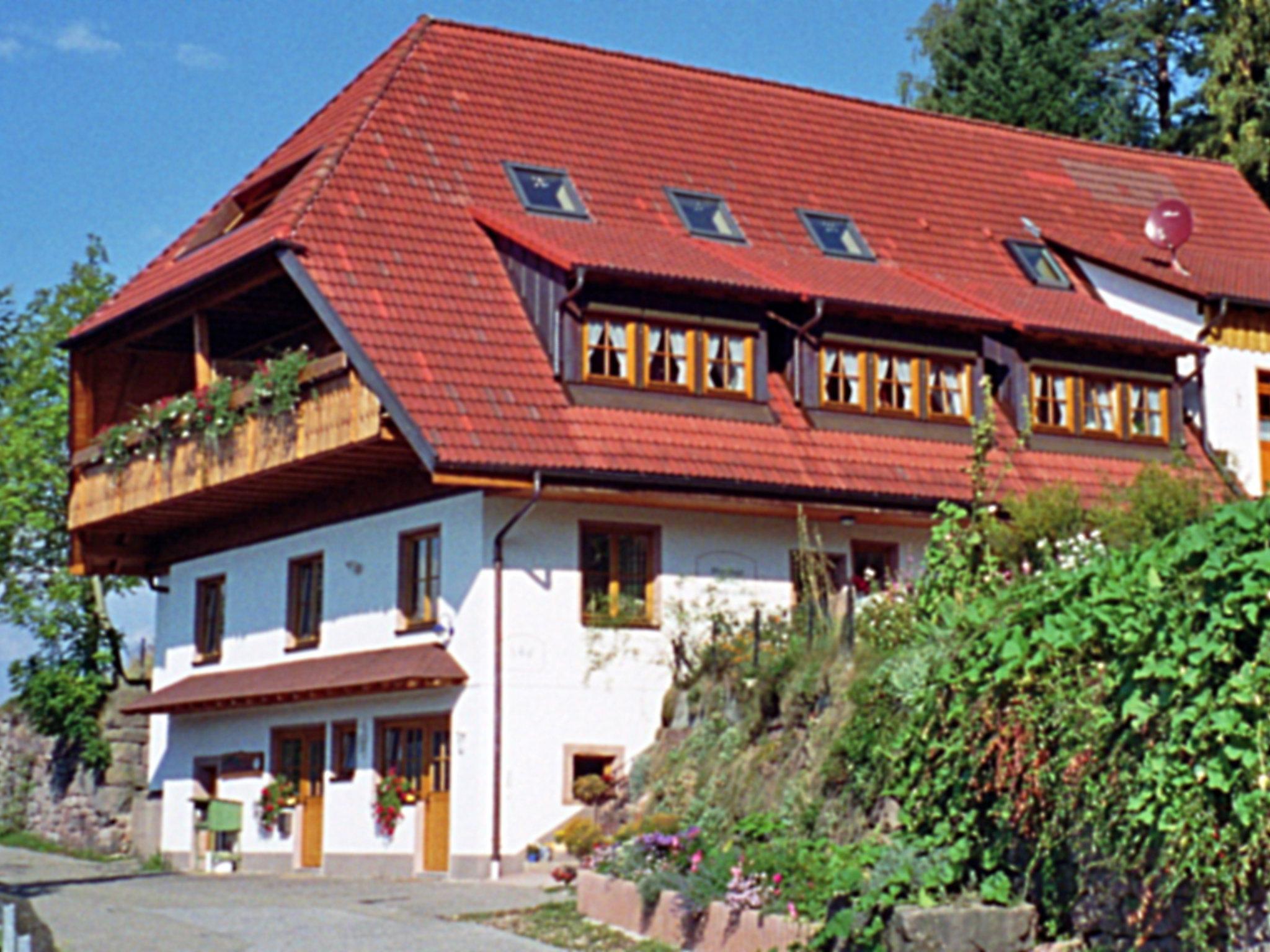 Photo 1 - Appartement de 2 chambres à Schiltach avec jardin et vues sur la montagne