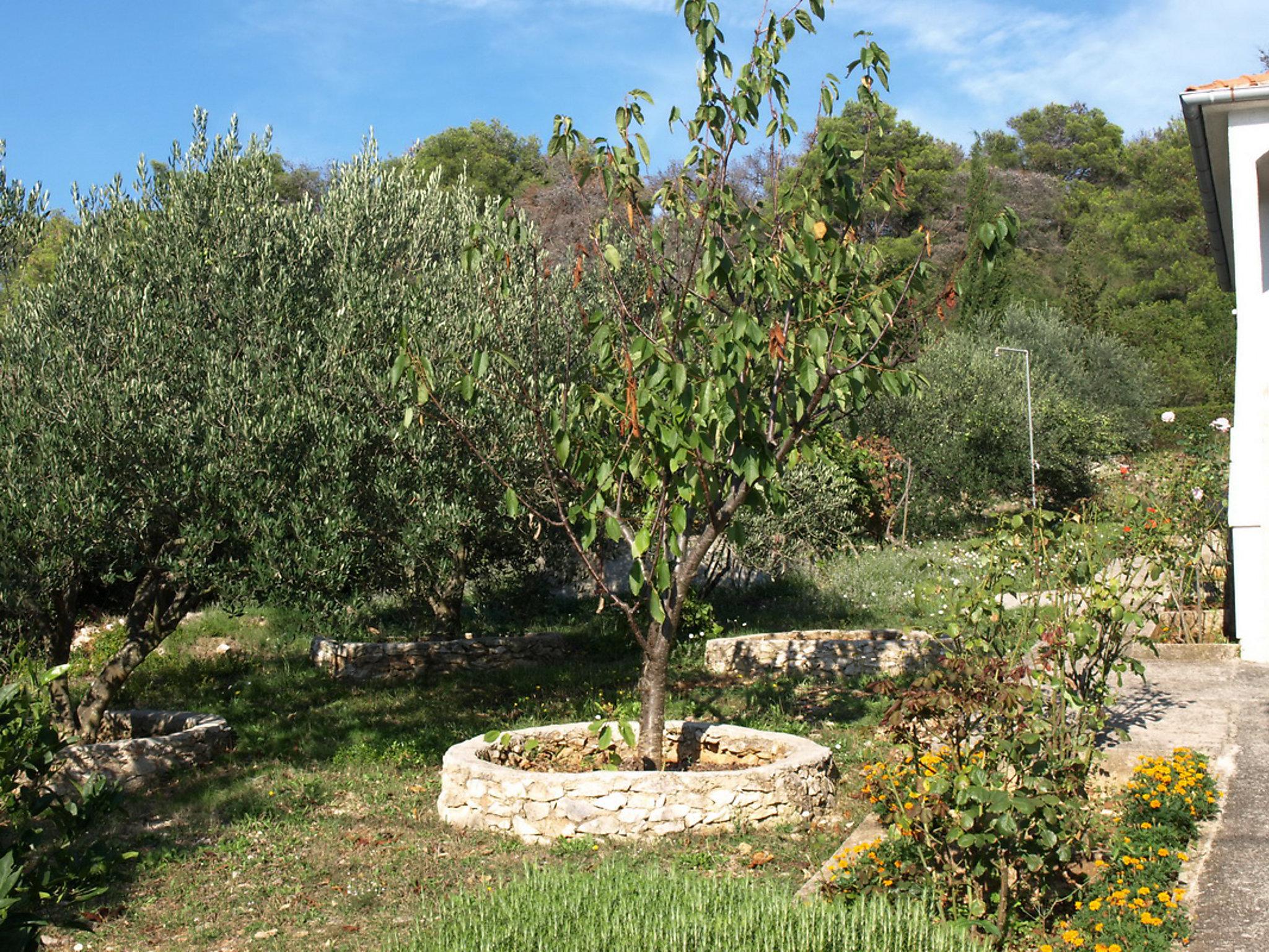 Foto 17 - Appartamento con 3 camere da letto a Zara con terrazza e vista mare