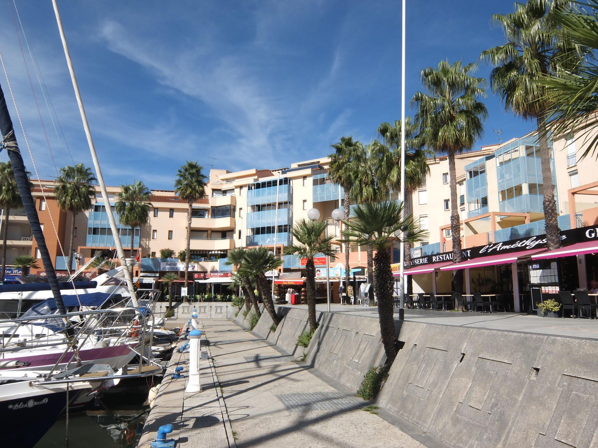 Foto 19 - Apartamento de 1 habitación en Argelès-sur-Mer con terraza y vistas al mar