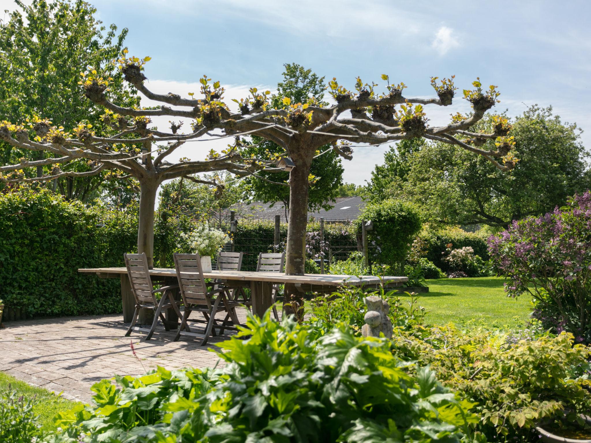 Photo 2 - Maison de 2 chambres à Sint Kruis avec jardin et terrasse