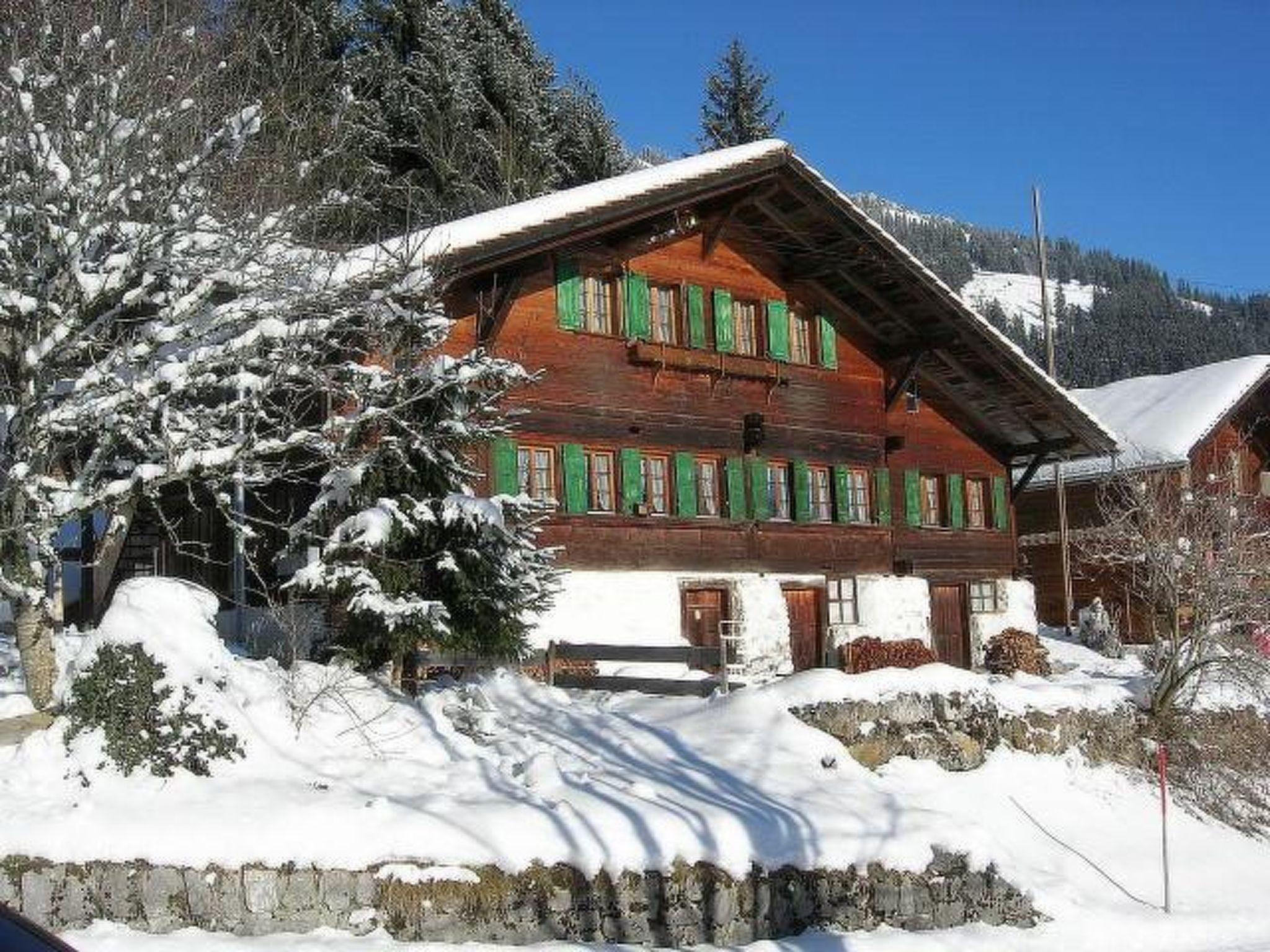 Photo 2 - Appartement de 2 chambres à Oberwil im Simmental avec jardin et vues sur la montagne