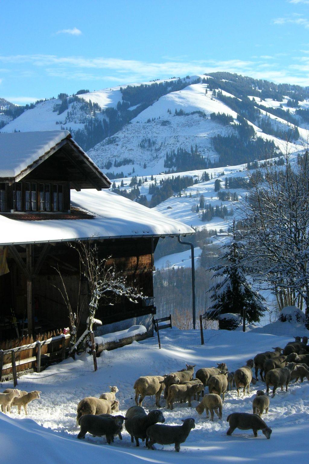 Photo 5 - Appartement de 2 chambres à Oberwil im Simmental avec jardin et vues sur la montagne