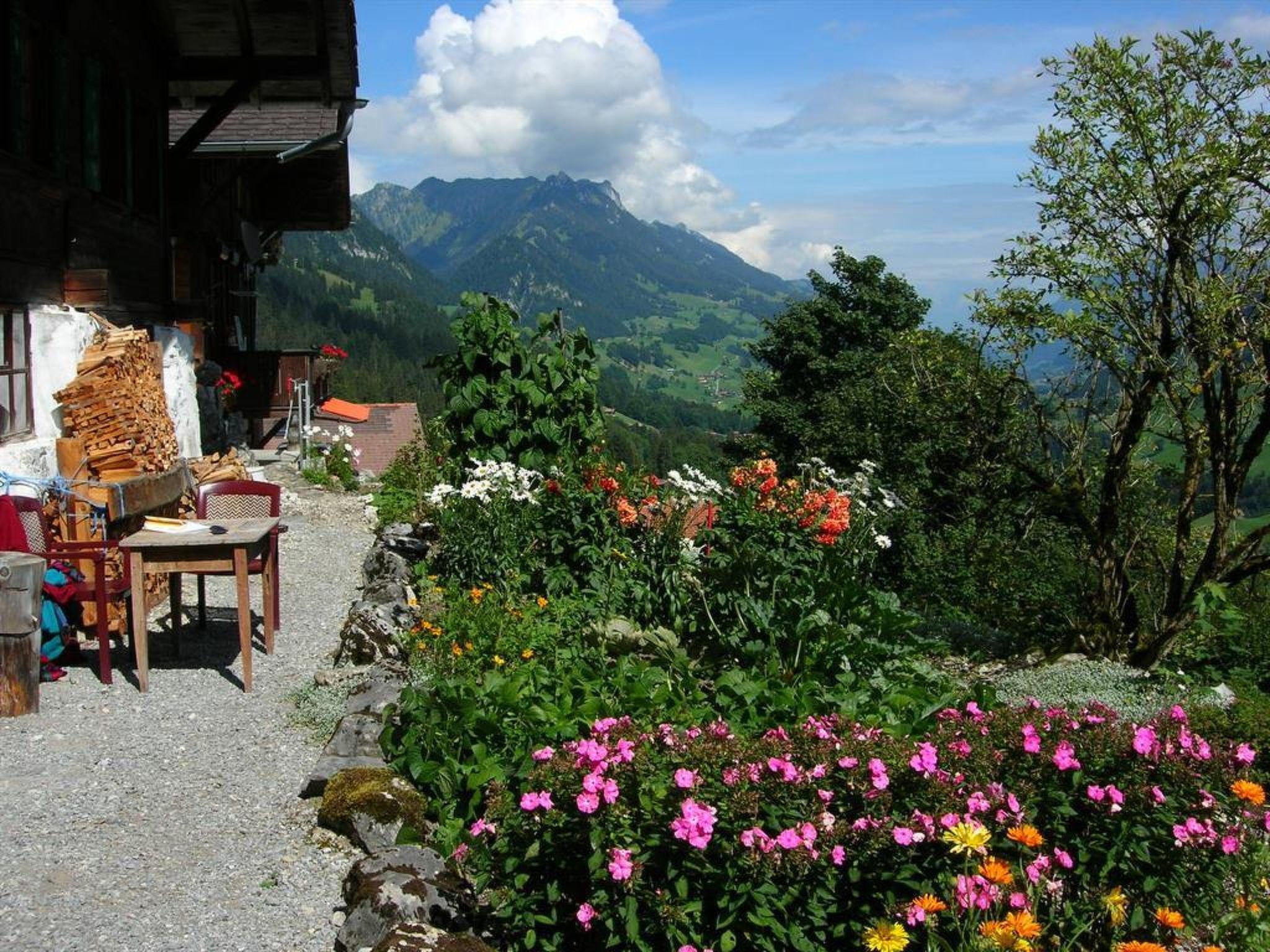 Photo 7 - Appartement de 2 chambres à Oberwil im Simmental avec jardin et vues sur la montagne