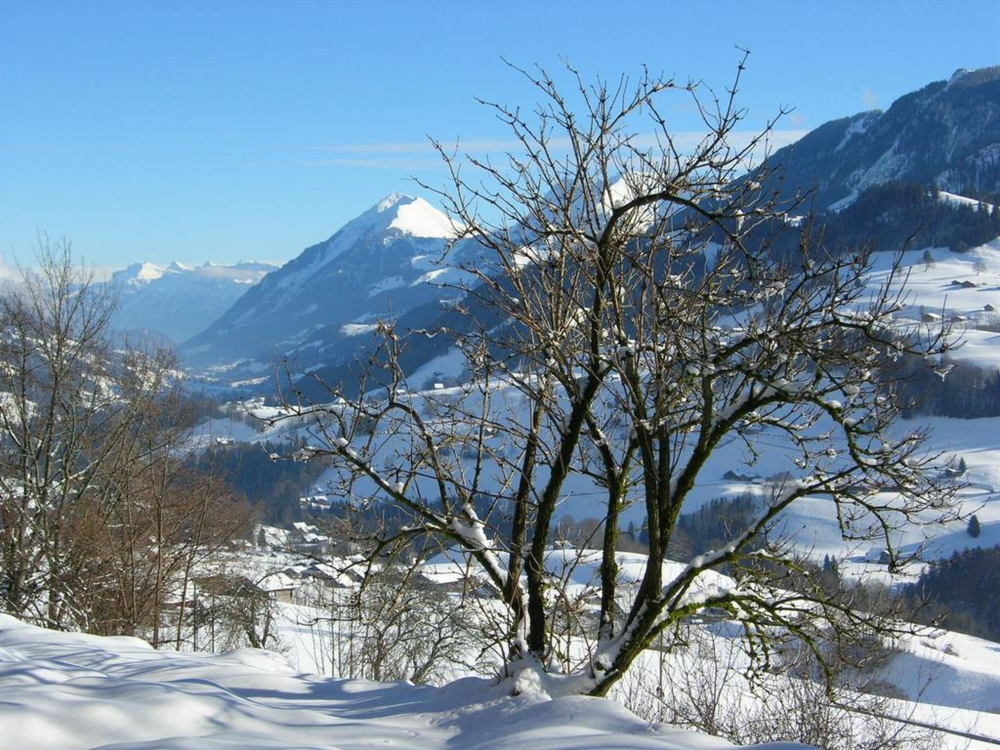 Foto 6 - Appartamento con 2 camere da letto a Oberwil im Simmental con giardino e vista sulle montagne