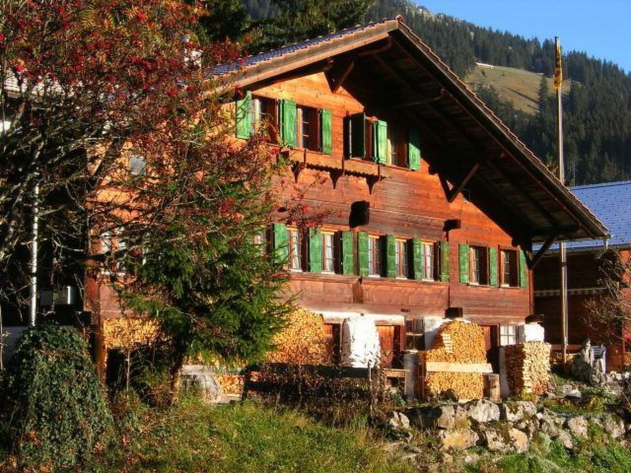 Photo 1 - Appartement de 2 chambres à Oberwil im Simmental avec jardin et vues sur la montagne