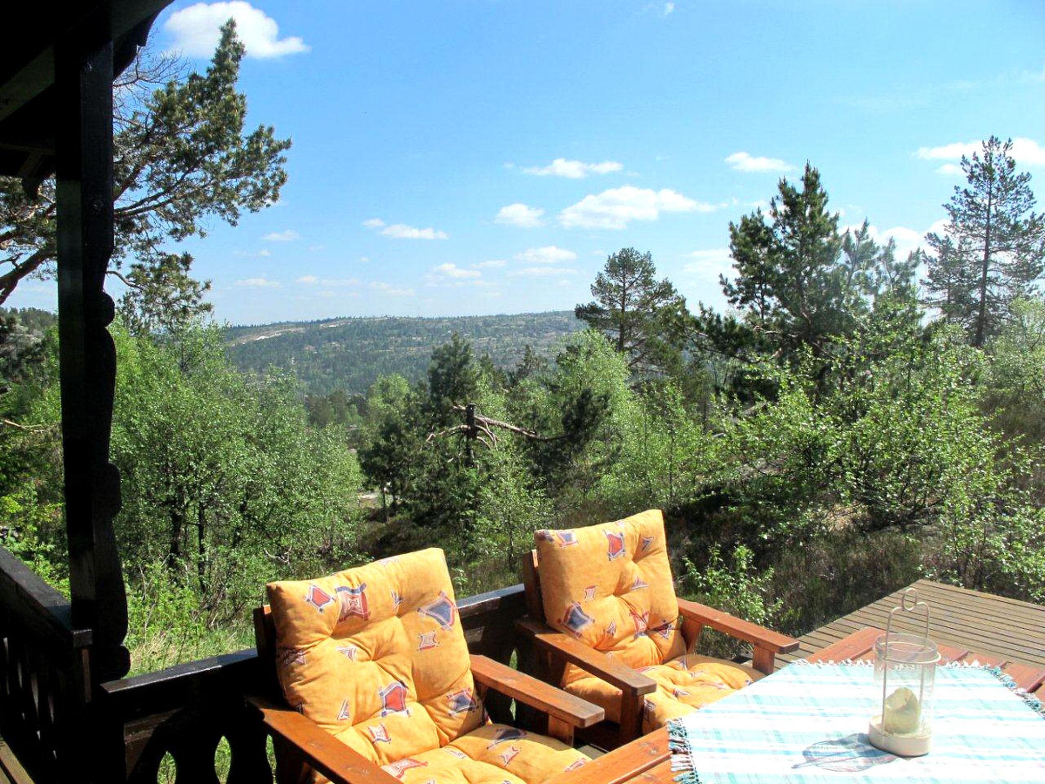 Photo 2 - Maison de 2 chambres à Drangedal avec terrasse