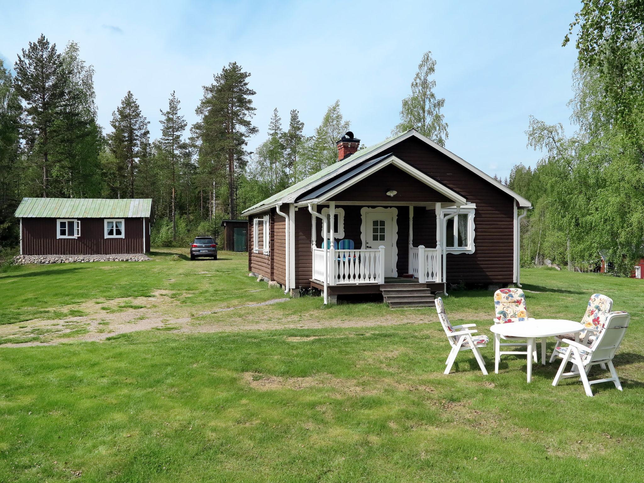 Foto 6 - Casa con 2 camere da letto a Ramsjö con giardino