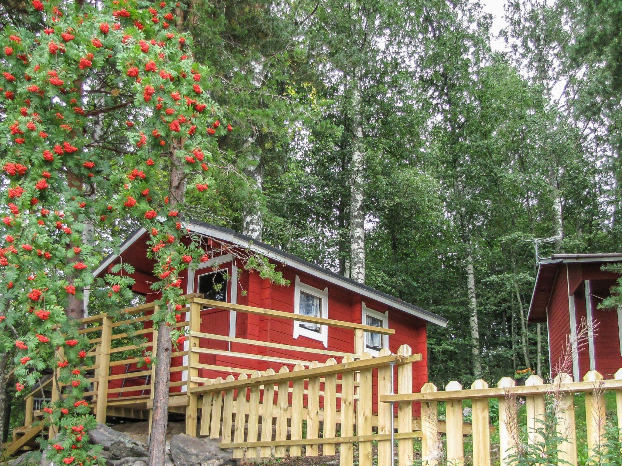 Foto 30 - Haus mit 1 Schlafzimmer in Savonlinna mit sauna