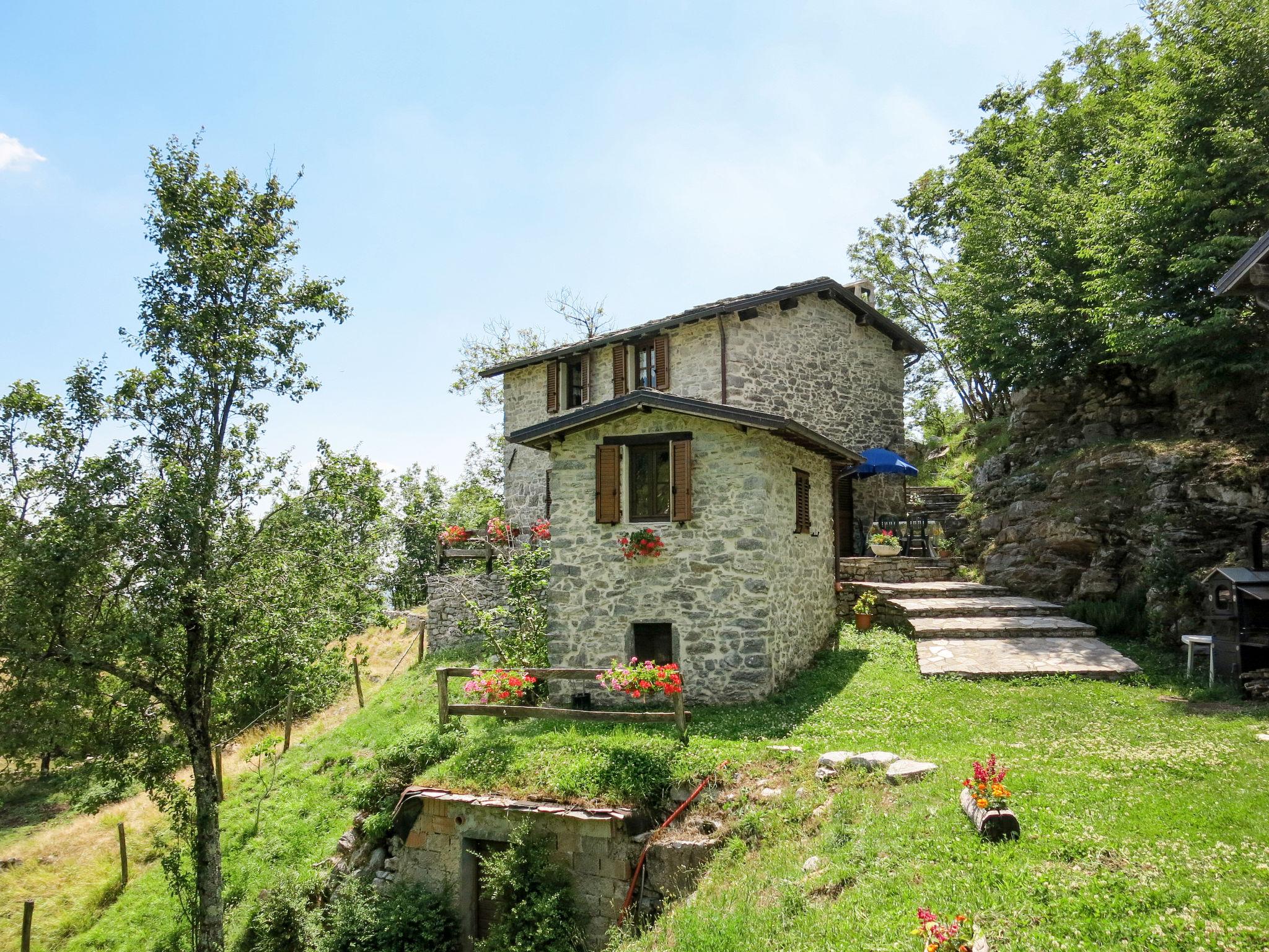 Foto 20 - Casa con 2 camere da letto a Fabbriche di Vergemoli con piscina e giardino