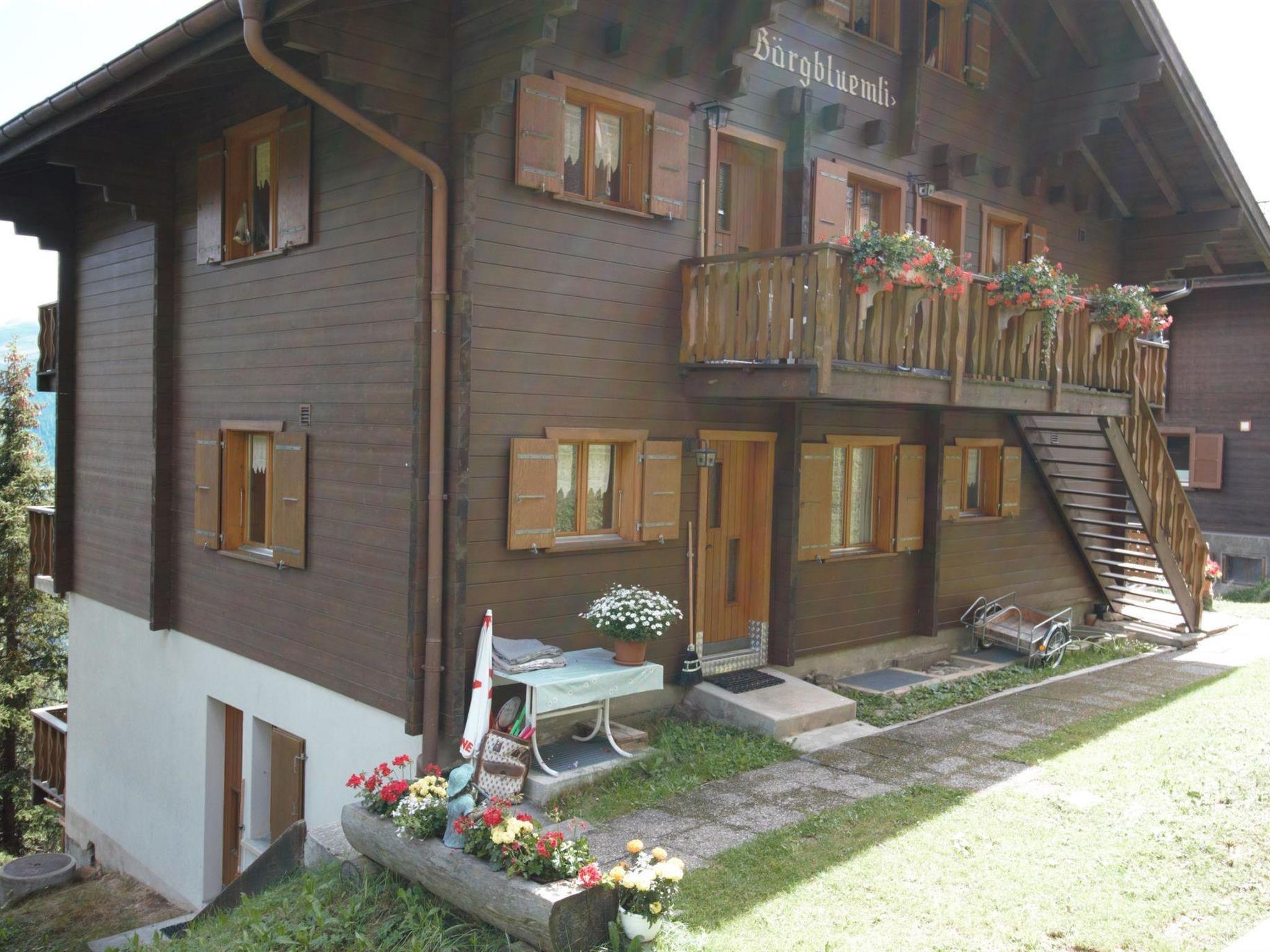 Foto 15 - Apartamento de 1 quarto em Bettmeralp