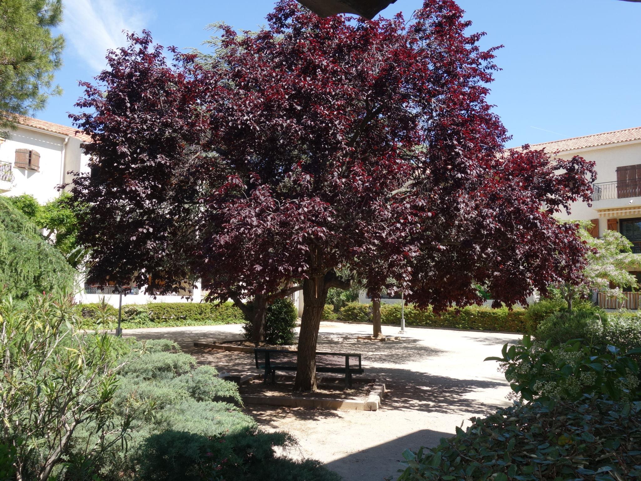 Foto 16 - Appartamento a Saint-Cyr-sur-Mer con giardino e terrazza