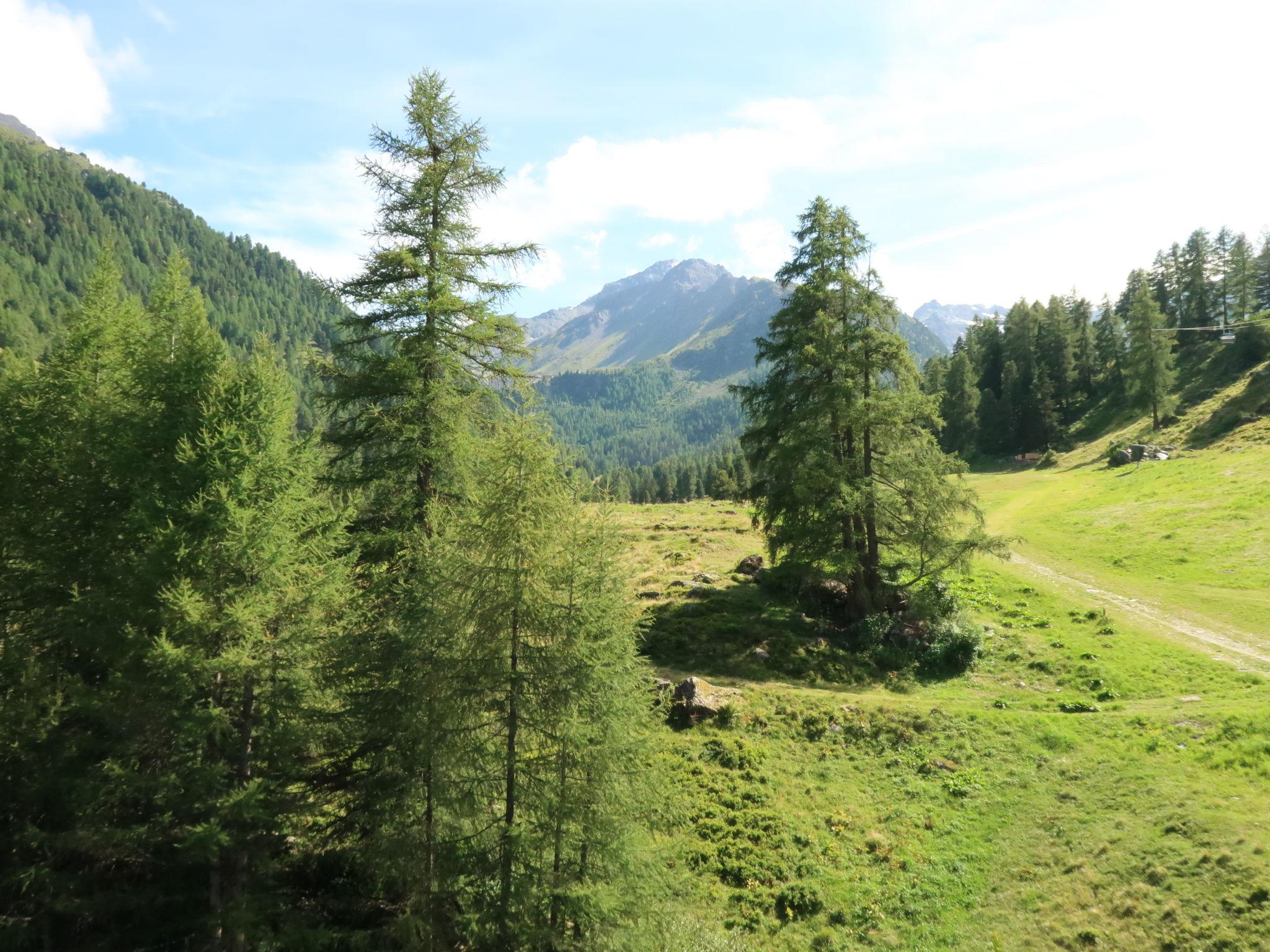 Foto 11 - Apartamento en Nendaz con jardín y vistas a la montaña