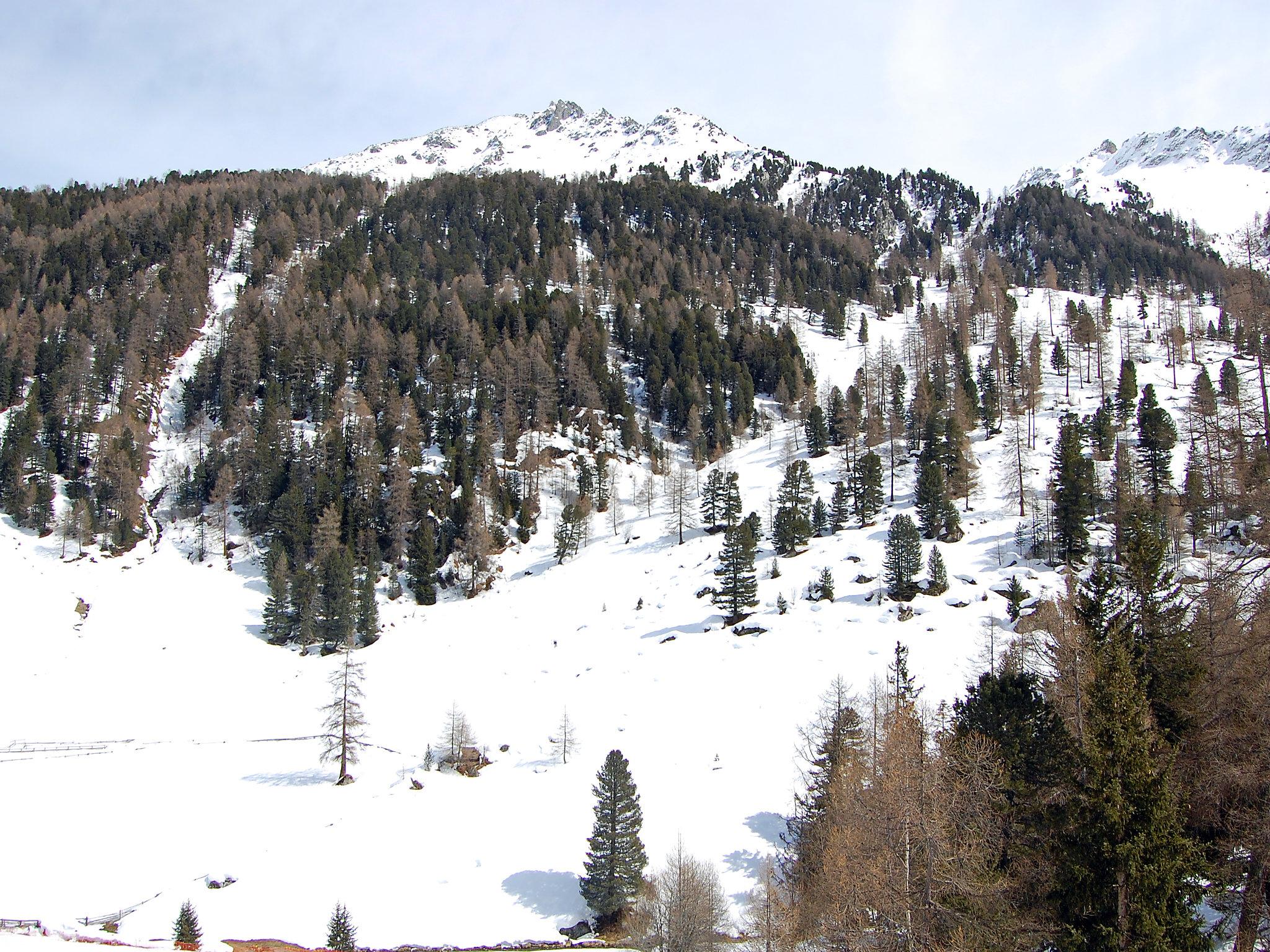 Foto 17 - Apartamento em Nendaz com jardim e vista para a montanha