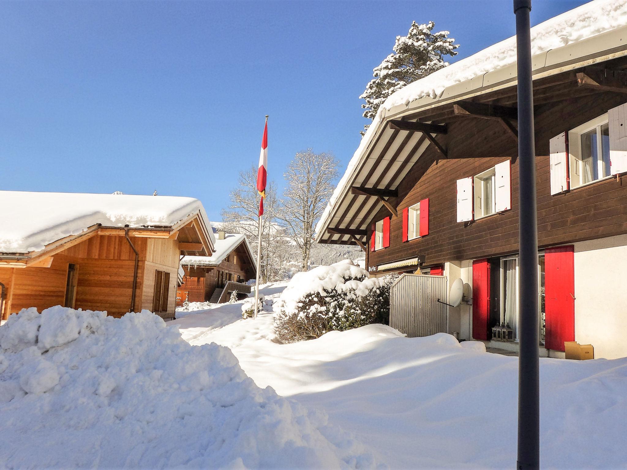 Foto 31 - Apartamento de 3 habitaciones en Grindelwald con vistas a la montaña